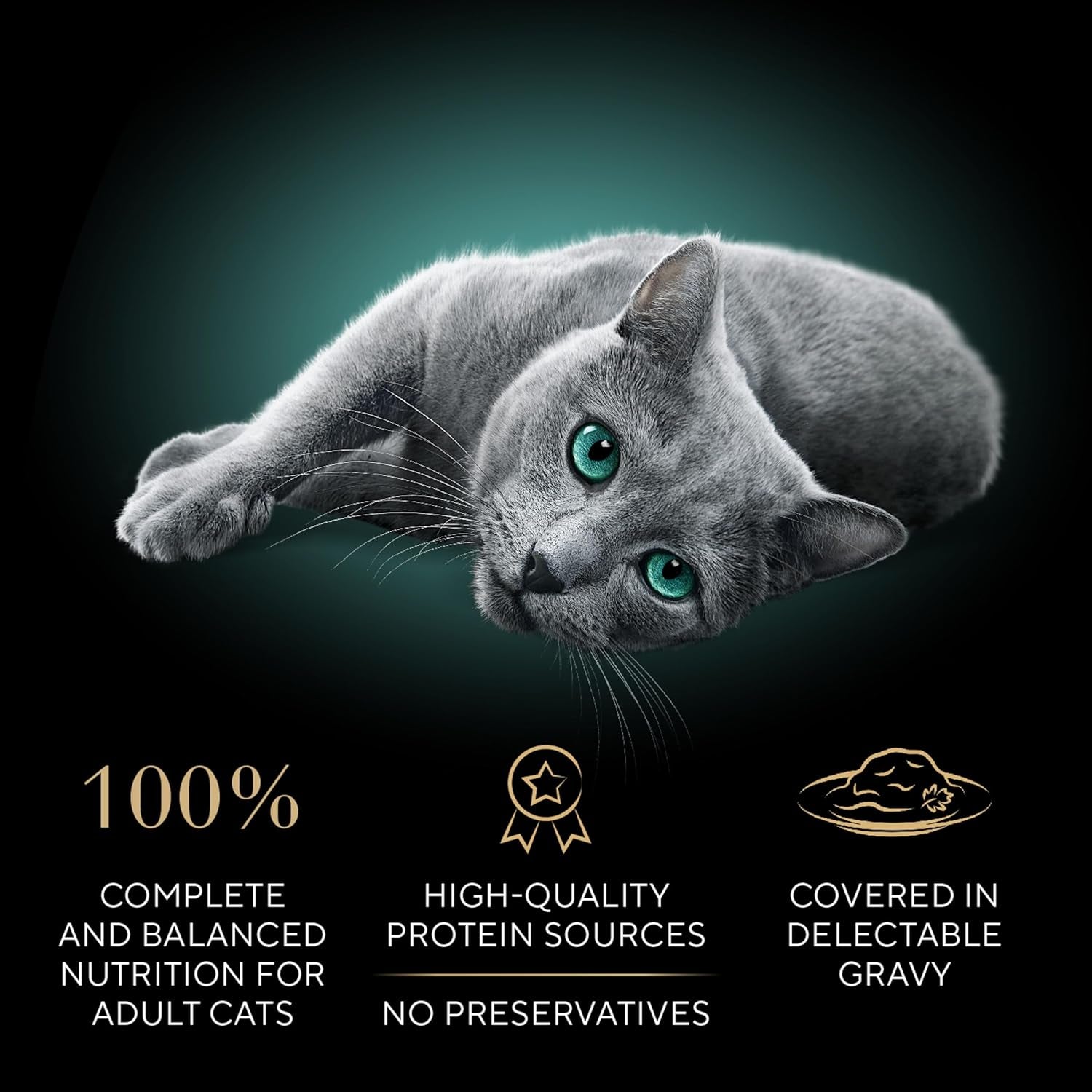 Gravy Indulgence Adult Wet Cat Food Beef Entree and Chicken Entree in Extra Gravy Variety Pack, 2.6 Oz. Twin-Pack Trays (12 Count, 24 Servings) (Pack of 2)