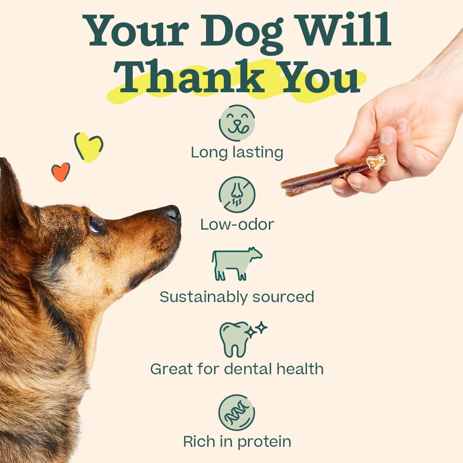 Bully Sticks Dog Treats - Chew Sticks for Dogs - Long-Lasting Dog Chew Treats - Made with Free-Range, Grass-Fed Beef - 6" Sticks - 5Pk