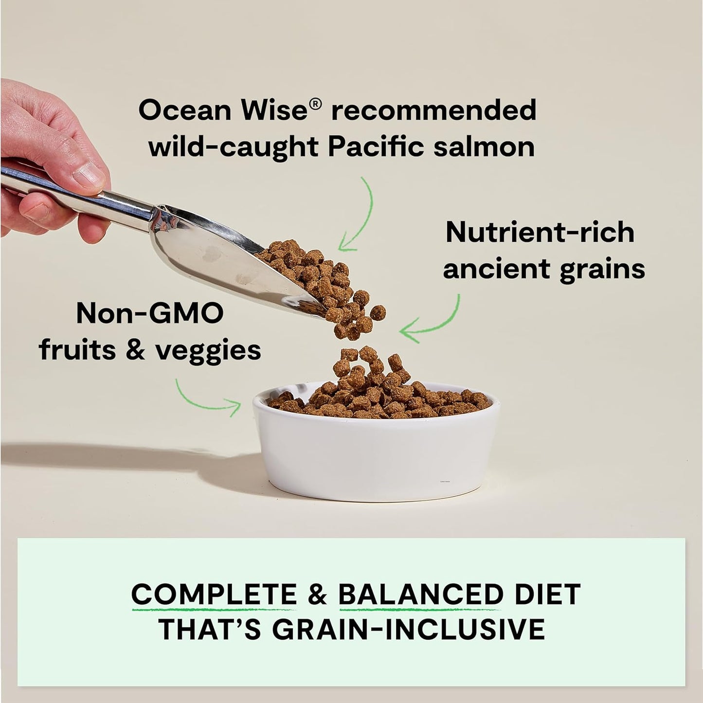 , Ancient Grains Dry Dog Food, Protein-Rich & Nutrient Dense, 90% Animal Protein Mixed with Non-Gmo Fruits, Veggies and Superfoods, Wild Caught Salmon Recipe, 22Lb Bag
