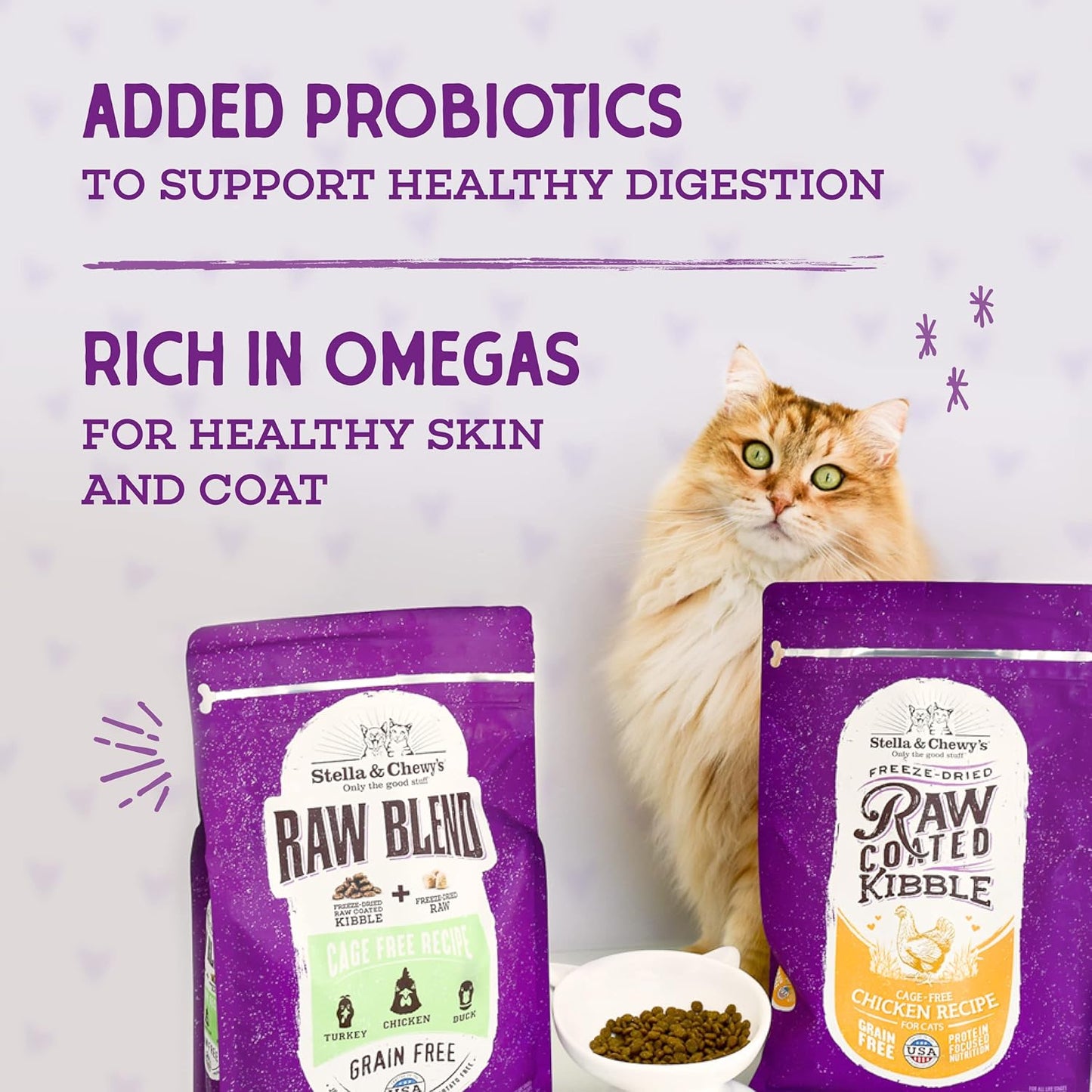 Raw Coated Cat Food - High Protein, Grain-Free Kibble with Cage-Free Chicken - Premium Digestive Support with Probiotics - Natural Small Kibble - Perfect for Picky Eaters - 10 Lb Bag