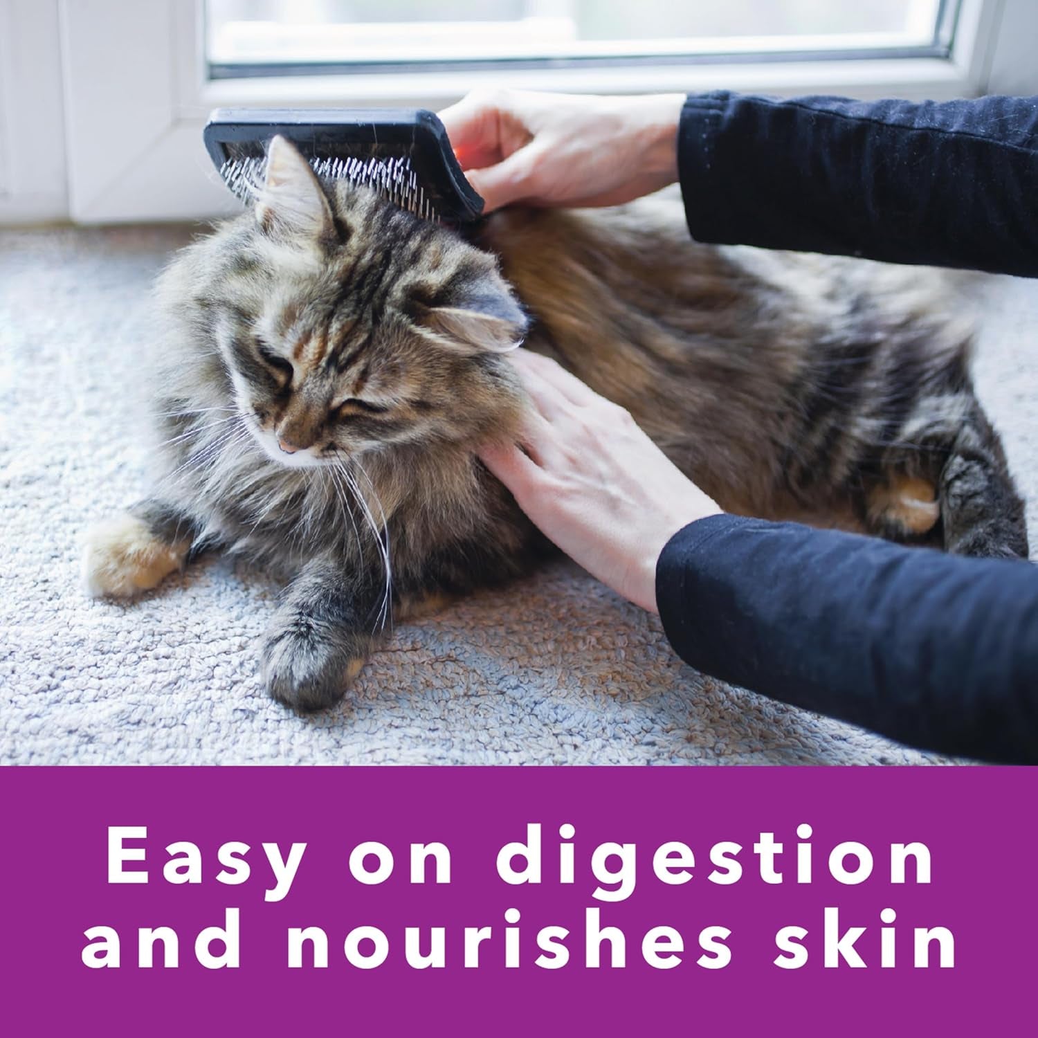 Perfect Portions Sensitive Digestion & Skin Adult Wet Cat Food Pate, Turkey Recipe, 2.6 Oz. Easy Peel Twin-Pack Trays (24 Count, 48 Servings)