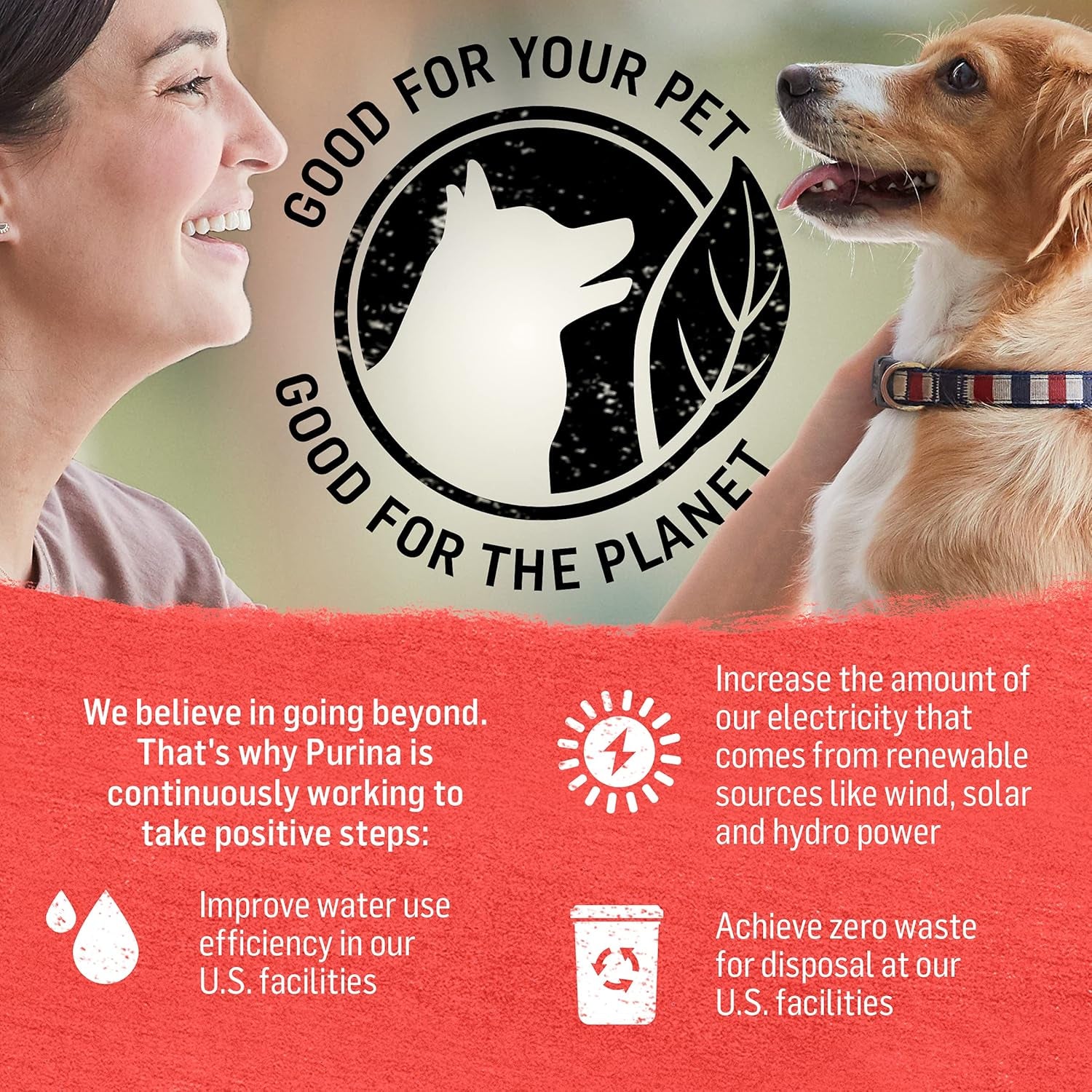 Beef, Potato, and Green Bean Grain Free Wet Dog Food Natural Pate with Added Vitamins and Minerals - (Pack of 12) 13 Oz. Cans