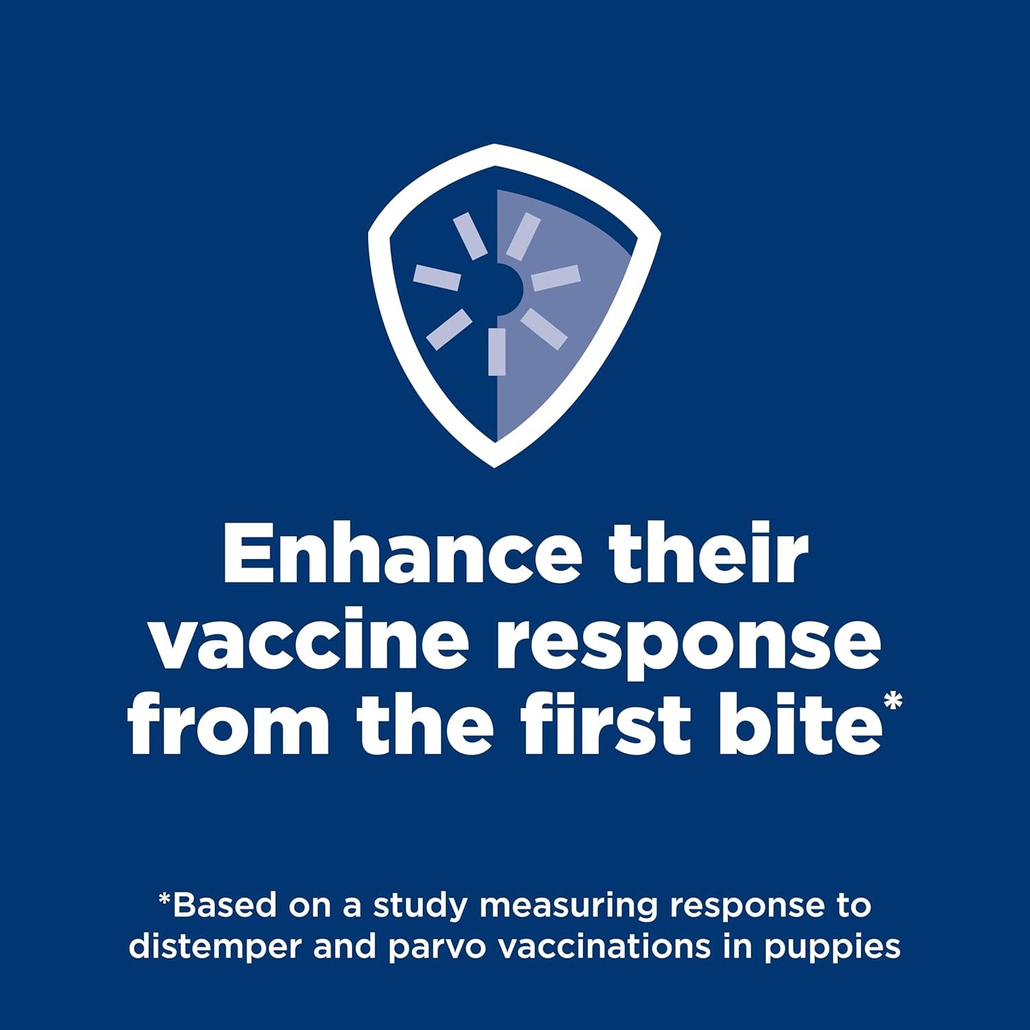 Puppy, Puppy Premium Nutrition, Small Kibble, Dry Dog Food, Chicken & Brown Rice, 12.5 Lb Bag