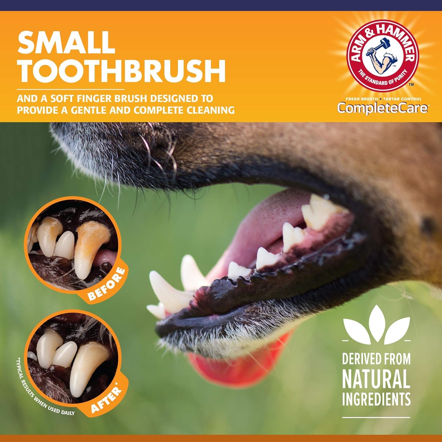 Complete Care Puppy Dental Kit - Includes Small Dog Toothbrush, Peanut Butter Flavor 2.5 Oz Toothpaste for Puppies, Microfiber Finger Brush, Ideal for Fresh Breath