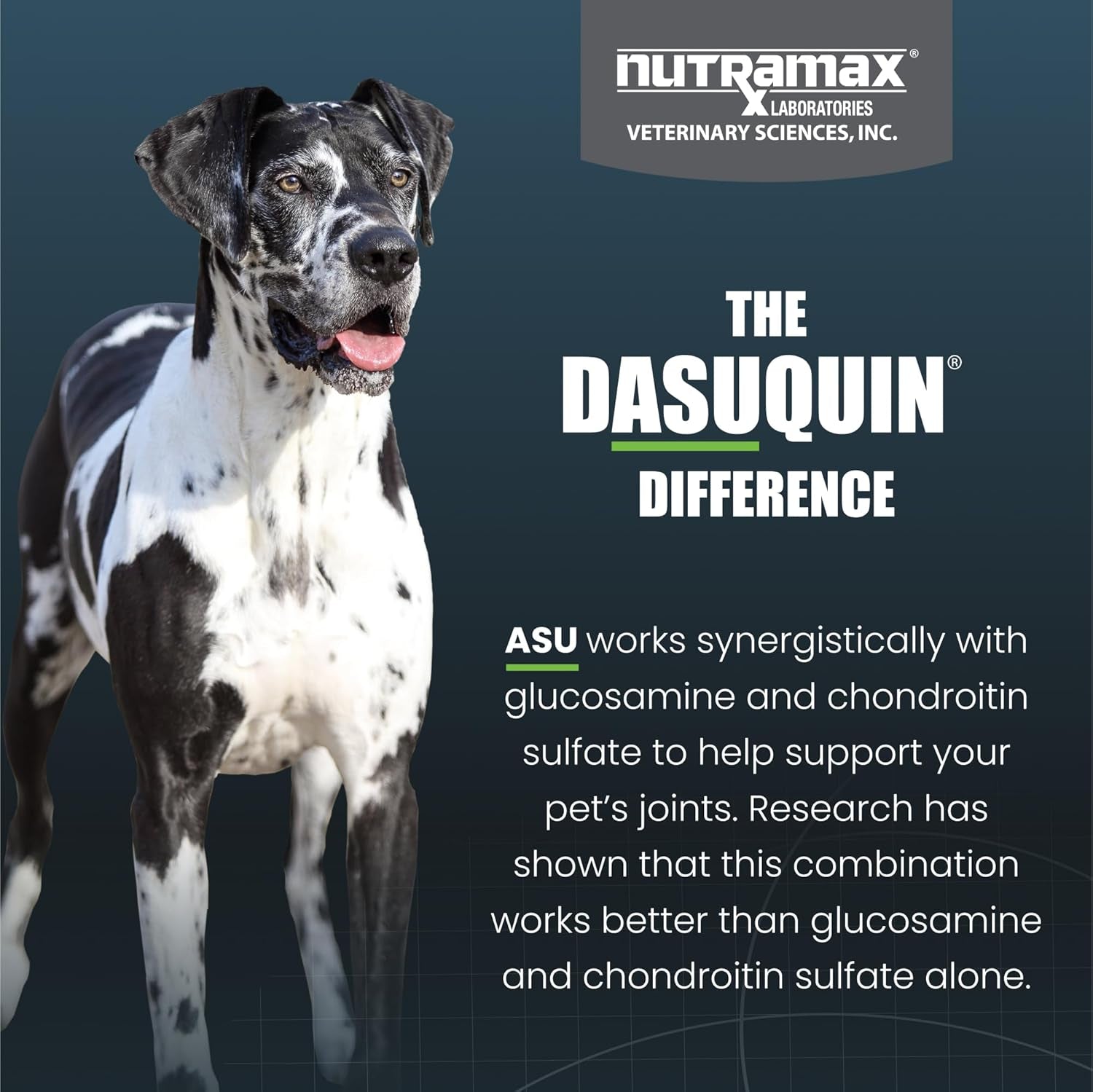 Nutramax Dasuquin for Large Dogs, Joint Health Supplement, Contains Glucosamine for Dogs, plus Chondroitin, ASU and More, Supports Healthy Joints, Soft Chews, 150 Count