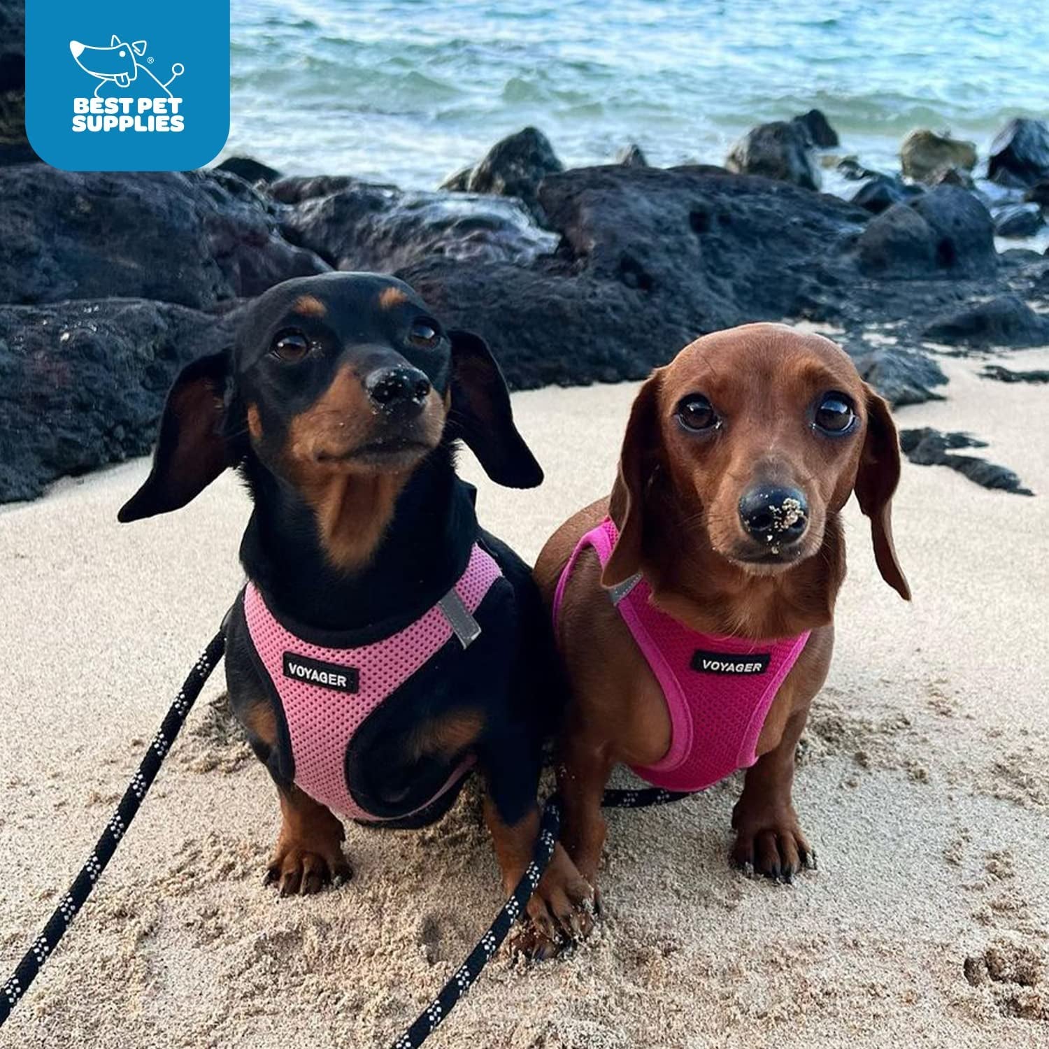 Voyager Step-In Air Dog Harness - All Weather Mesh, Reflective, No Pull Harness for Small, Medium Dogs, Cats - Secure with Hook & Loop Fastener, Buckle, Double D-Rings - Fuchsia, L