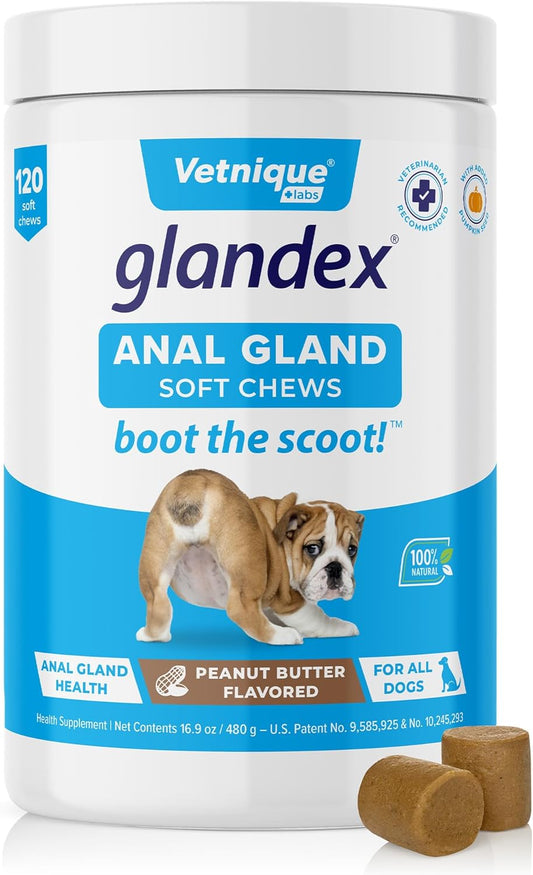 Glandex Anal Gland Soft Chew Treats with Pumpkin for Dogs Digestive Enzymes, Probiotics Fiber Supplement for Dogs Boot the Scoot (Peanut Butter Chews, 120 Count)