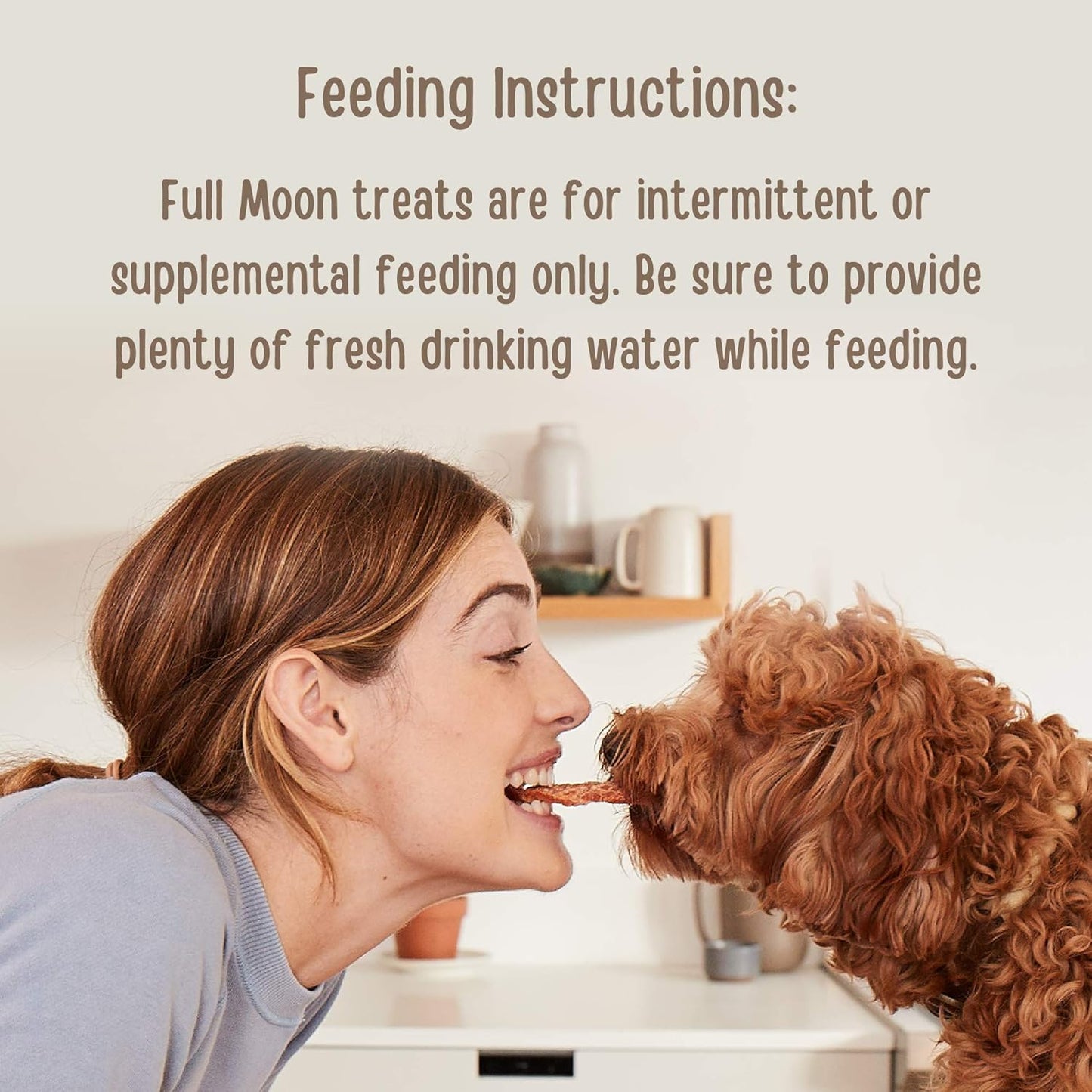 USDA Organic Chicken Training Treats Healthy All Natural Dog Treats Human Grade 175 Treats 6 Ounce (Pack of 1)
