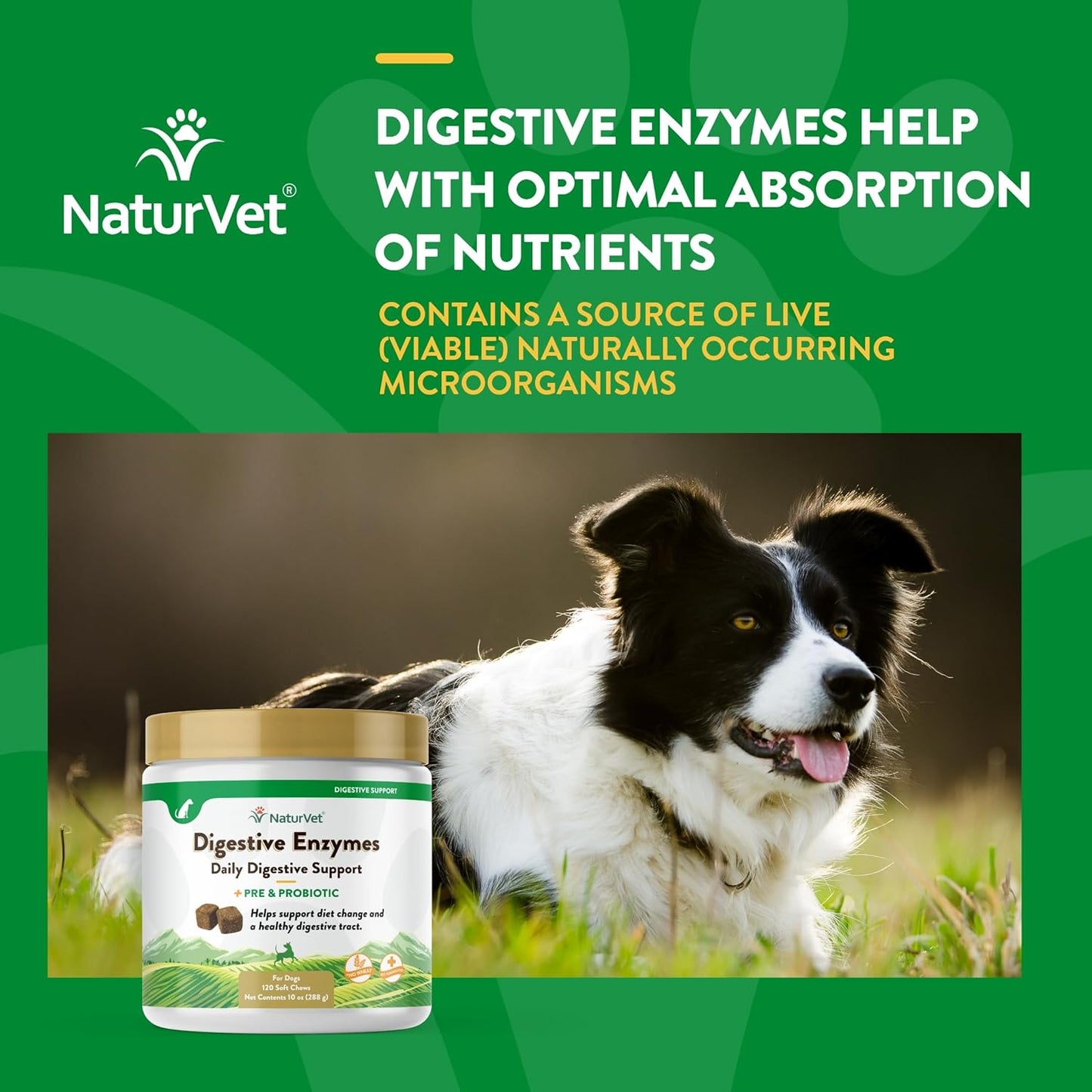 – Digestive Enzymes - plus Probiotics & Prebiotics – Helps Support Diet Change & a Healthy Digestive Tract – for Dogs & Cats (Soft Chews, 120 Count)