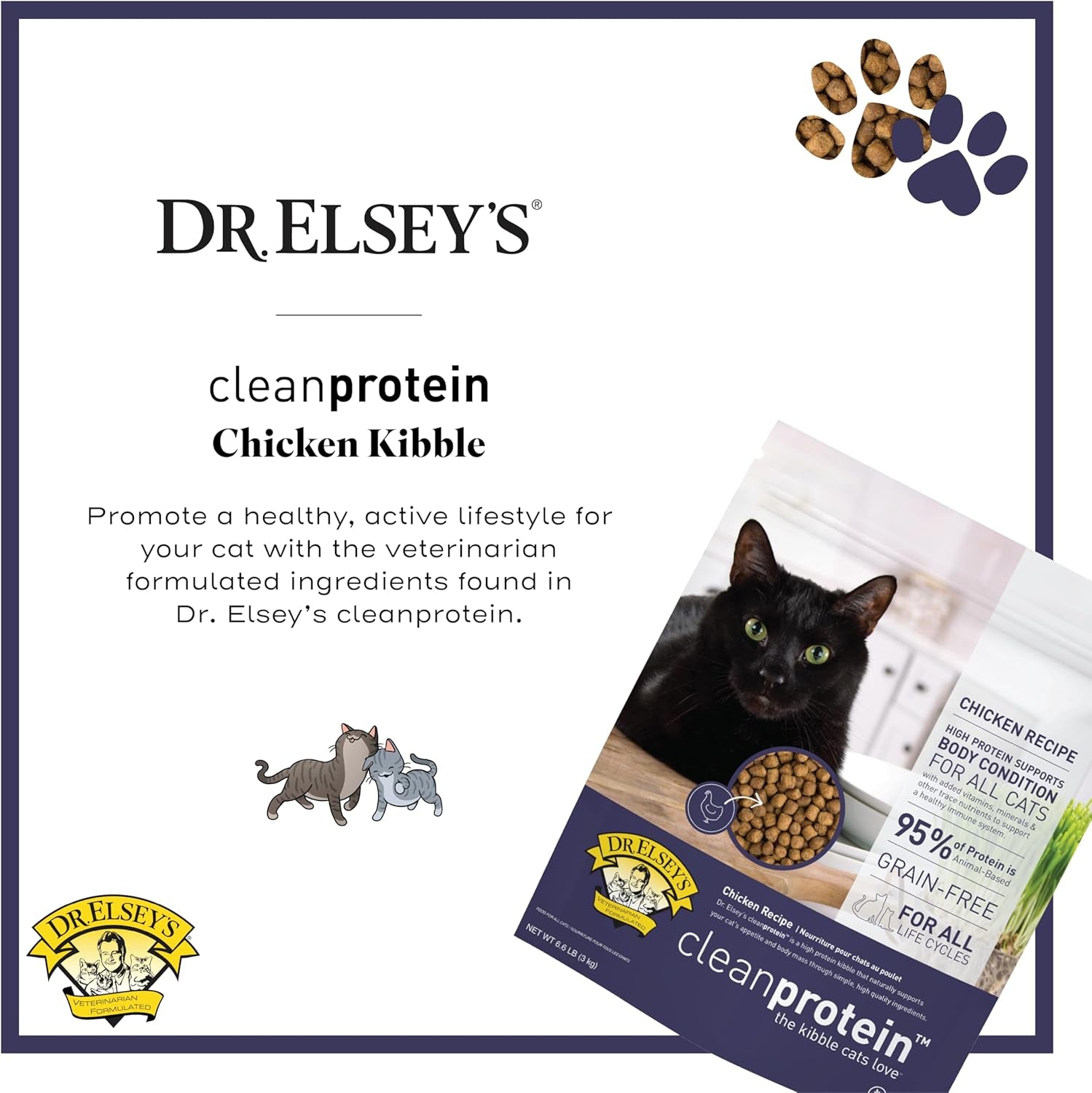 Cleanprotein Chicken Cat Kibble 6.6 Lb. Bag