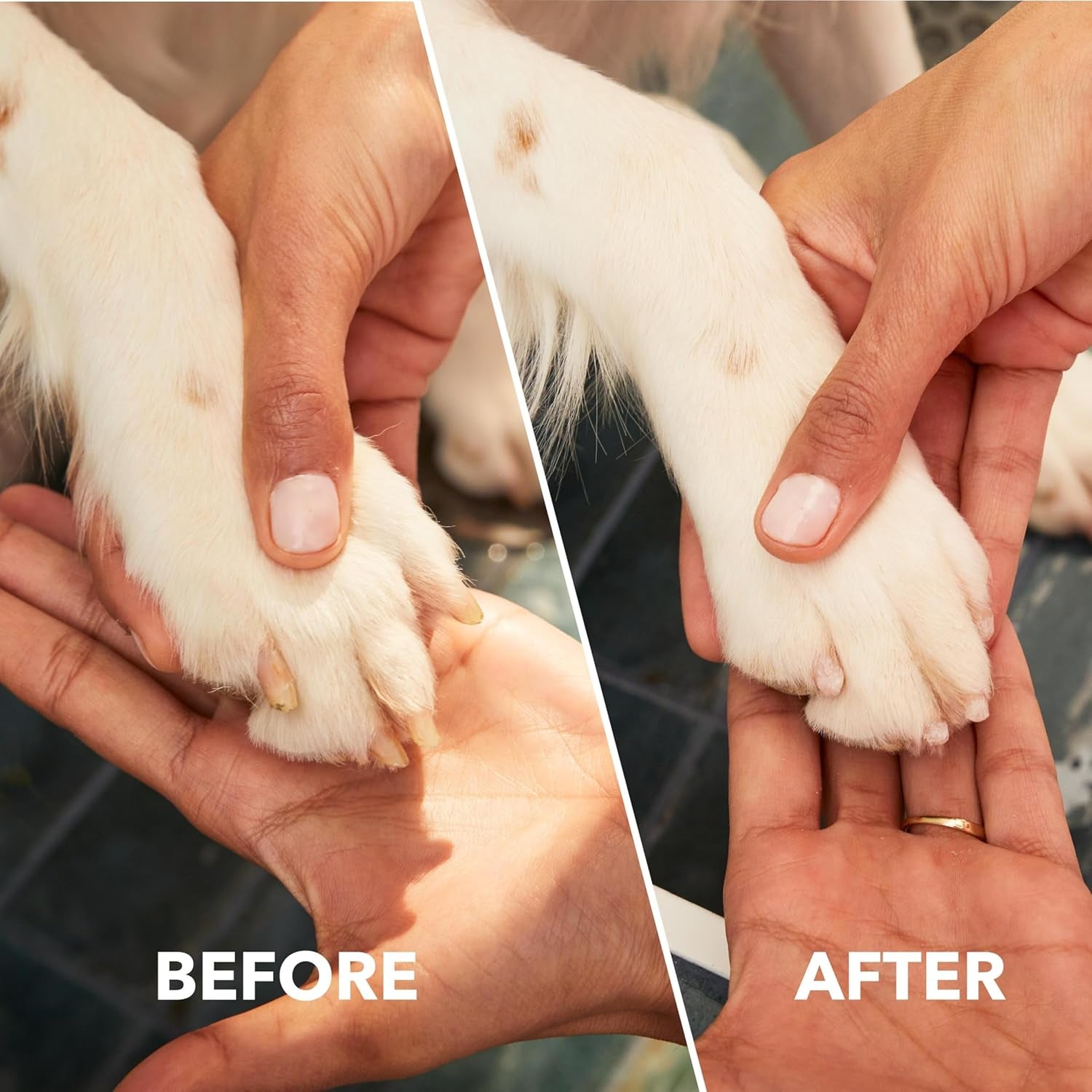 Pawcontrol 7760-PET Dog Nail Grinder and Trimmer - Cordless & Rechargeable Pet Grooming Tool Kit - Safe for Dogs, Cats, and Small Animals (Amazon Exclusive)
