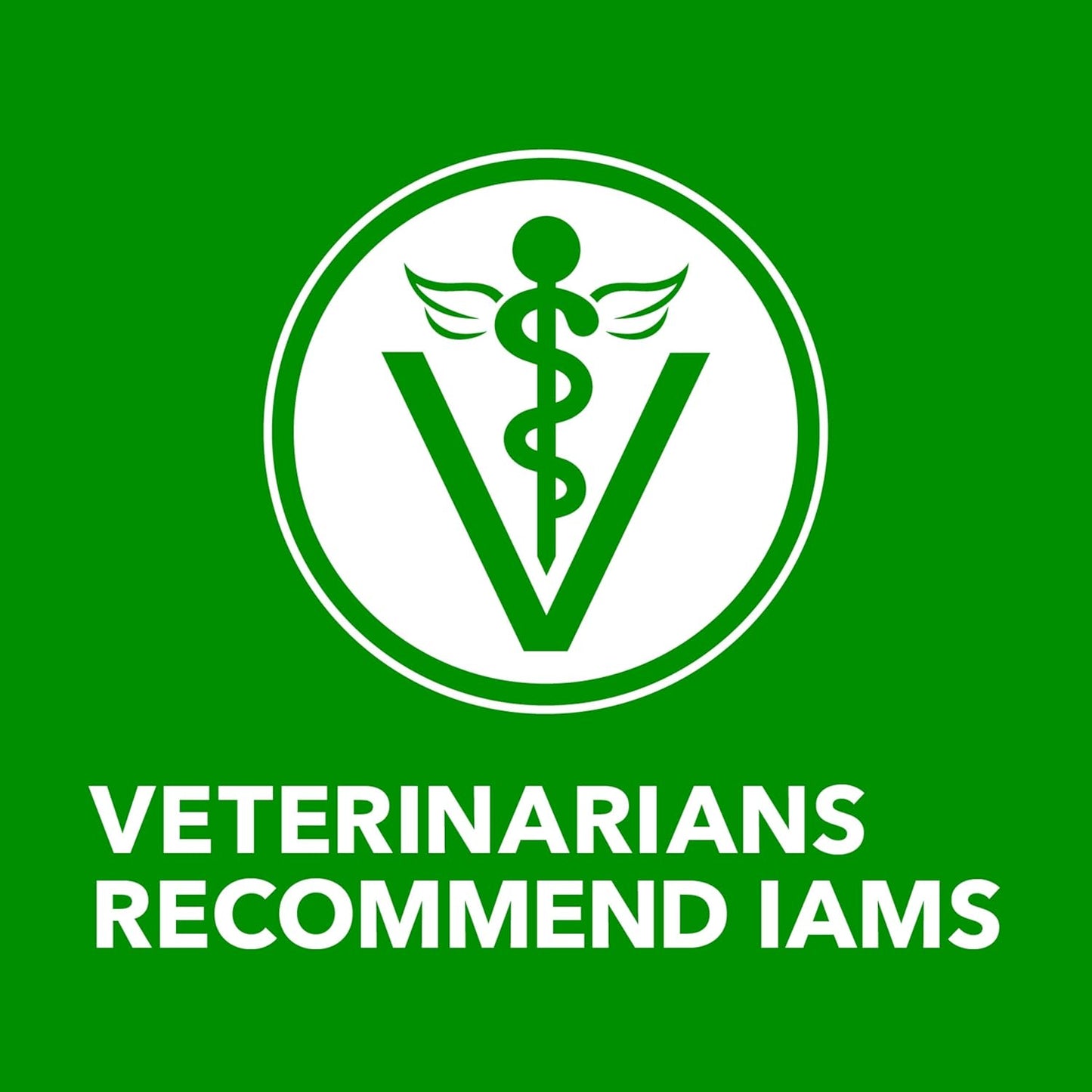 Proactive Health Adult Wet Dog Food Classic Ground with Chicken and Rice, 13 Oz. Cans (12 Count, Pack of 1)