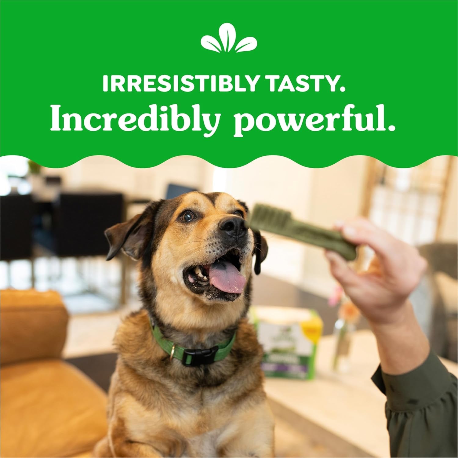 Original Large Dental Dog Treats, 12 Oz. Pack (8 Treats)
