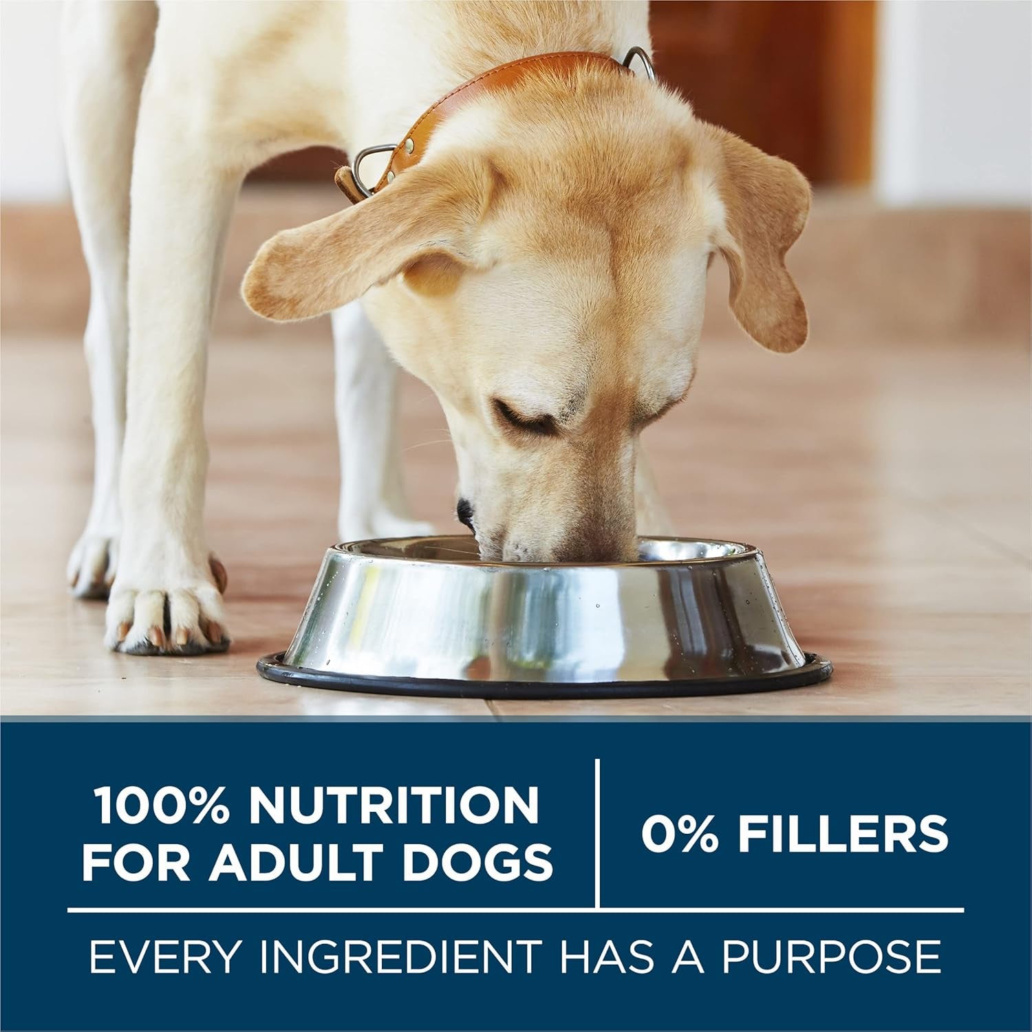 plus Large Breed Adult Dog Food Dry Formula - 40 Lb. Bag