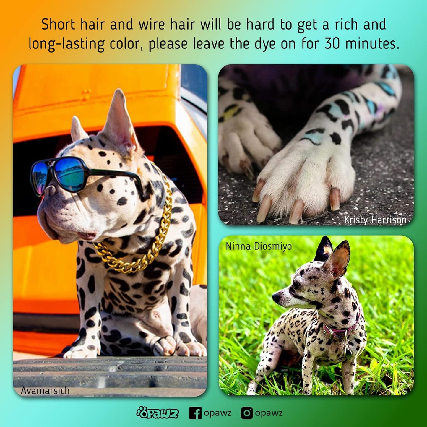 Permanent Dog Hair Dye, Pet Hair Dye Safely Used by Grooming Salons for a Decade, Pet Safe Dye Lasts over 20 Washes, Bright Color for Dogs and Horses (Super Black)