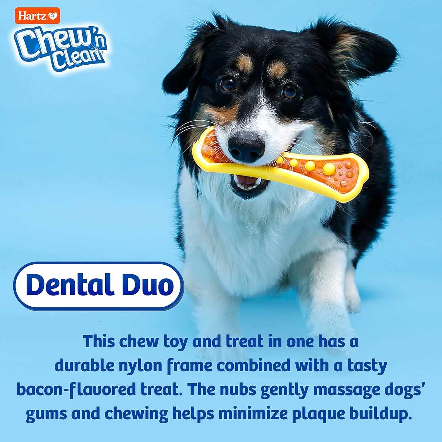 Chew 'N Clean Dental Duo Dog Treat & Chew Toy, Color Varies, Large, 3 Pack