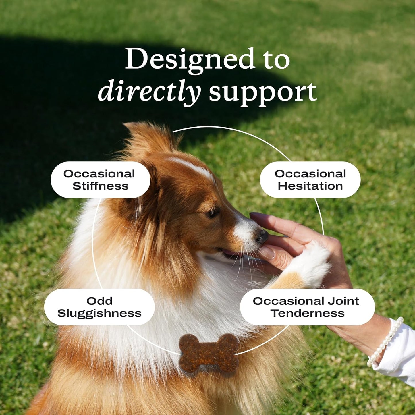 Joint Care Chews - High Levels of Glucosamine for Dogs, Green Lipped Mussels, Omega 3 and Turmeric - Hip and Joint Supplement to Actively Support Mobility - Packaging May Vary - (2-Pack)