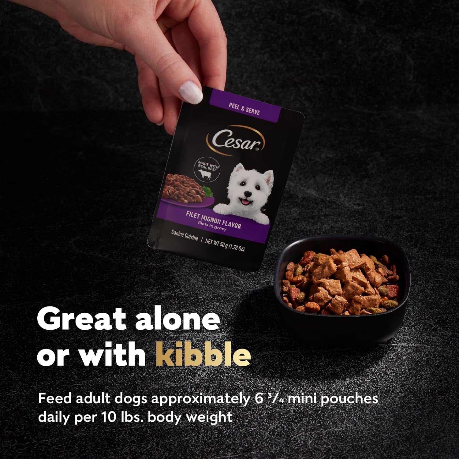 Filets in Gravy Wet Dog Food Filet Mignon Flavor and Rotisserie Chicken Flavor Variety Pack, 1.76 Oz. Mini-Pouches (20 Count, Pack of 2)