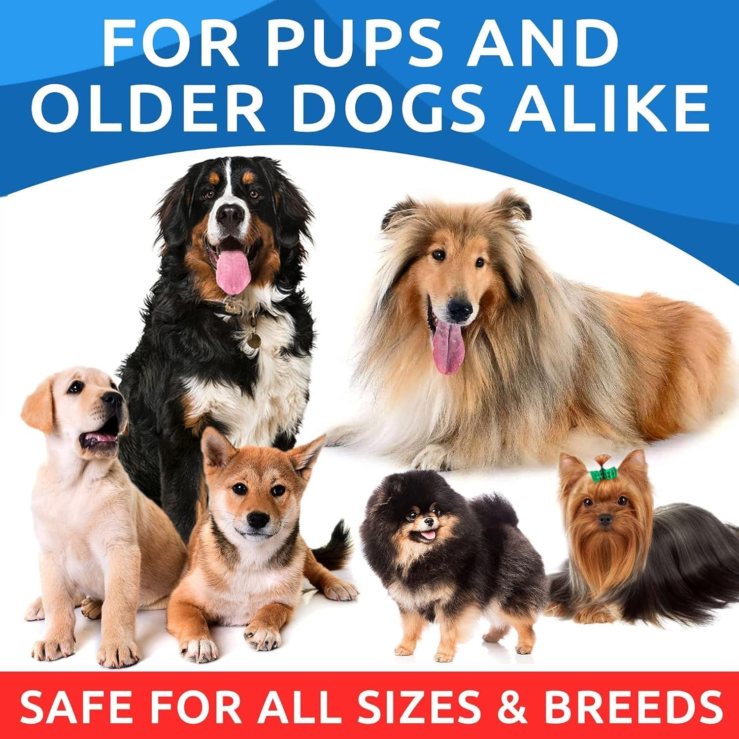 Omega 3 for Dogs - 180 Fish Oil Treats for Dog Shedding, Skin Allergy Chews, Itch Relief, Hot Spots Treatment - Joint Health - Skin and Coat Supplement - EPA & DHA Fatty Acids - Salmon Oil