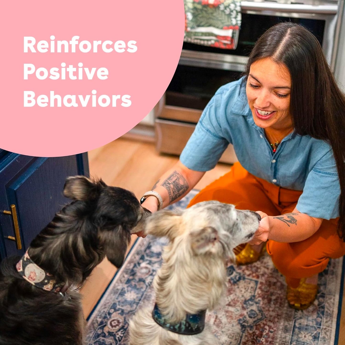 Freeze Dried Training Treats for Dogs & Puppies, 1400+ Three Ingredient Bites (Beef Liver, 4 Oz, 3 Pack)