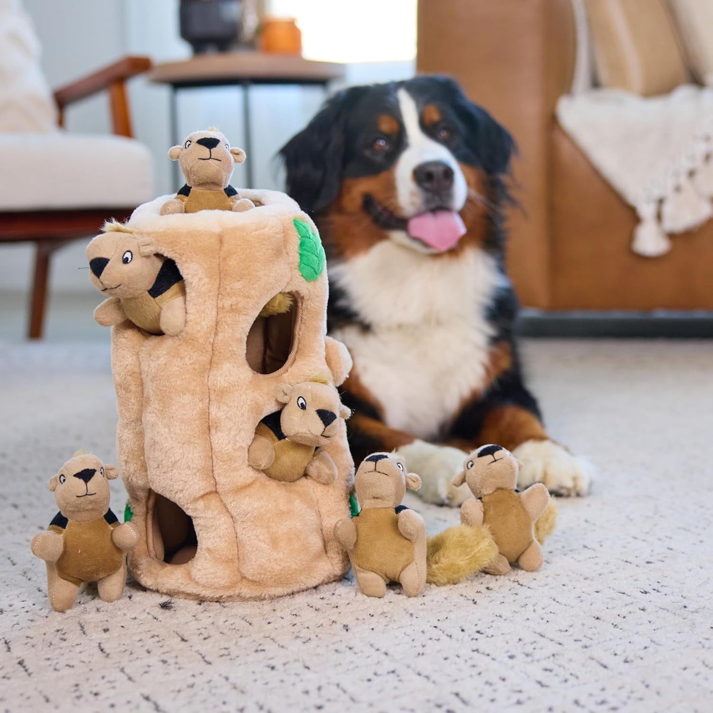 Hide a Squirrel Plush Dog Toy Puzzle, XL