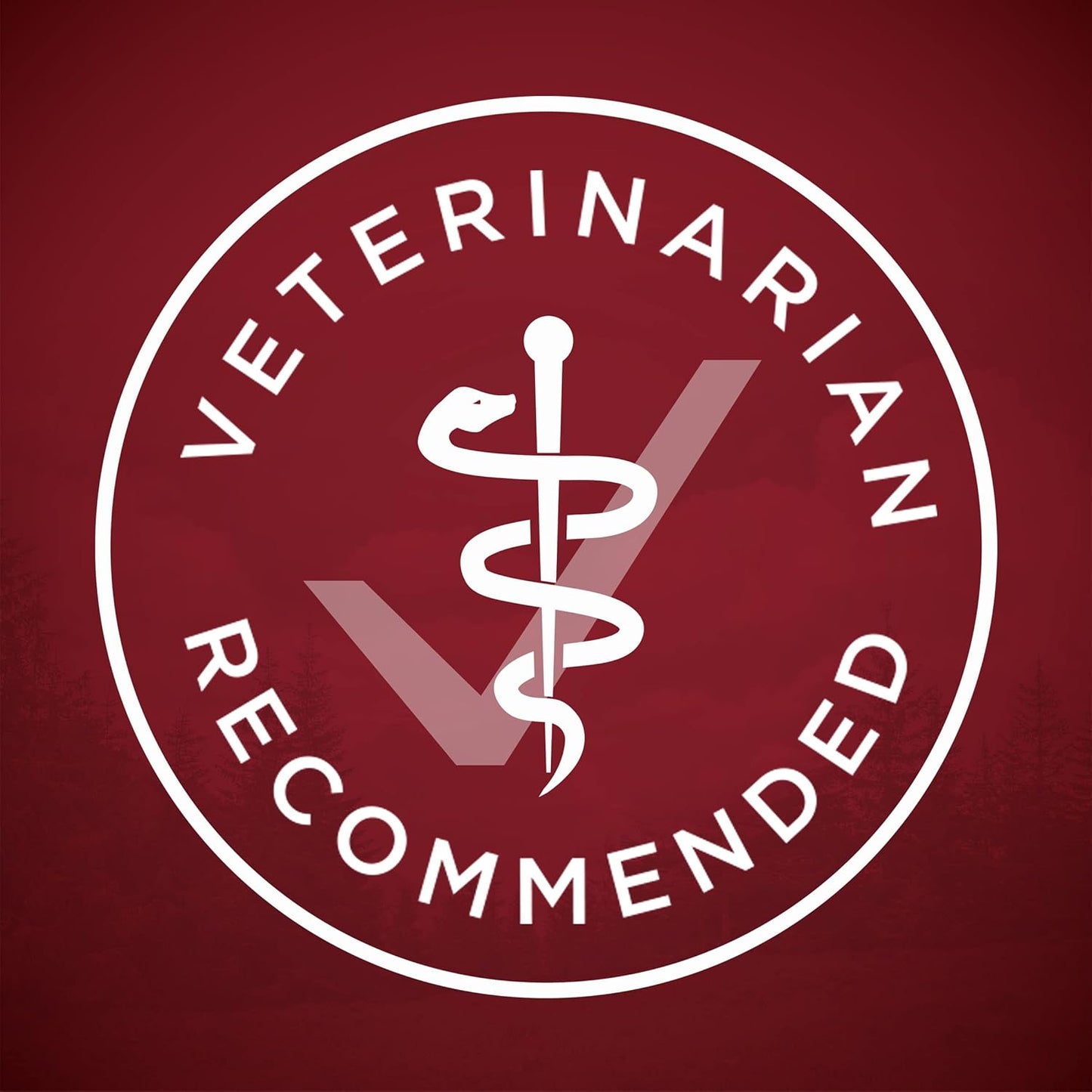 High Protein Wet Dog Food True Instinct Tender Cuts in Dog Food Gravy with Real Beef and Bison - (Pack of 12) 13 Oz. Cans