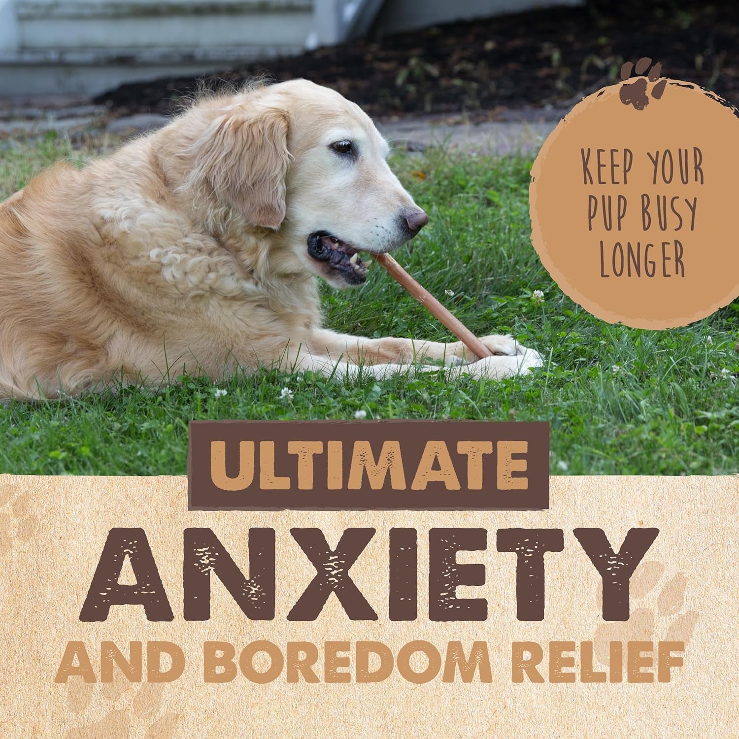 Naturals Bully Sticks for Dogs - Grass Fed Beef Dog Chews. Pets Stick for Large Dogs, Medium and Small Breeds. Lower Odor Bully Treats for Small Pets. Single Ingredient (6" - 25 Pack)