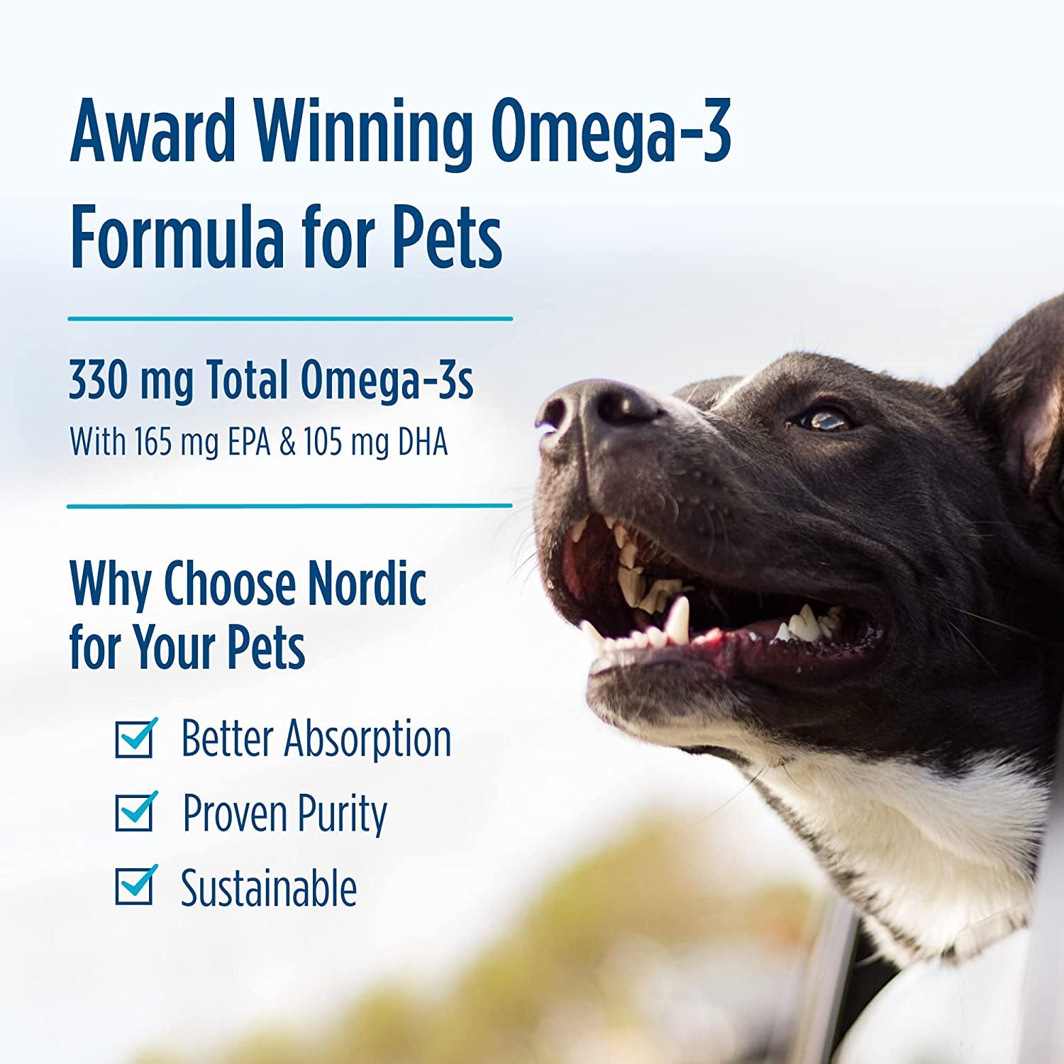 Omega-3 Pet, Unflavored - 180 Soft Gels - 320 Mg Omega-3 per Soft Gel - Fish Oil for Dogs with EPA & DHA - Promotes Heart, Skin, Coat, & Immune Health