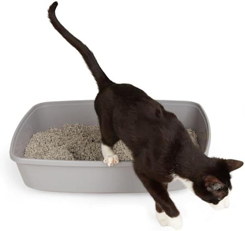 Open Cat Litter Box Grey X-Large 22.4" L X 16.9" W X 4.3" H