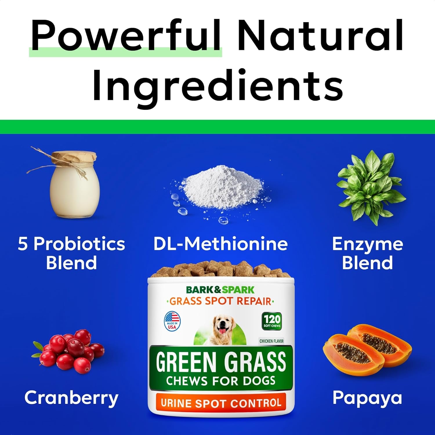 Green Grass Chews - Dog Pee Grass Spot Saver Caused by Dog Urine - Urine Neutralizer for Lawn, Gut Health Probiotics & Enzymes, Lawn Burn from Pee, Grass Burn Spot Chews Rocks