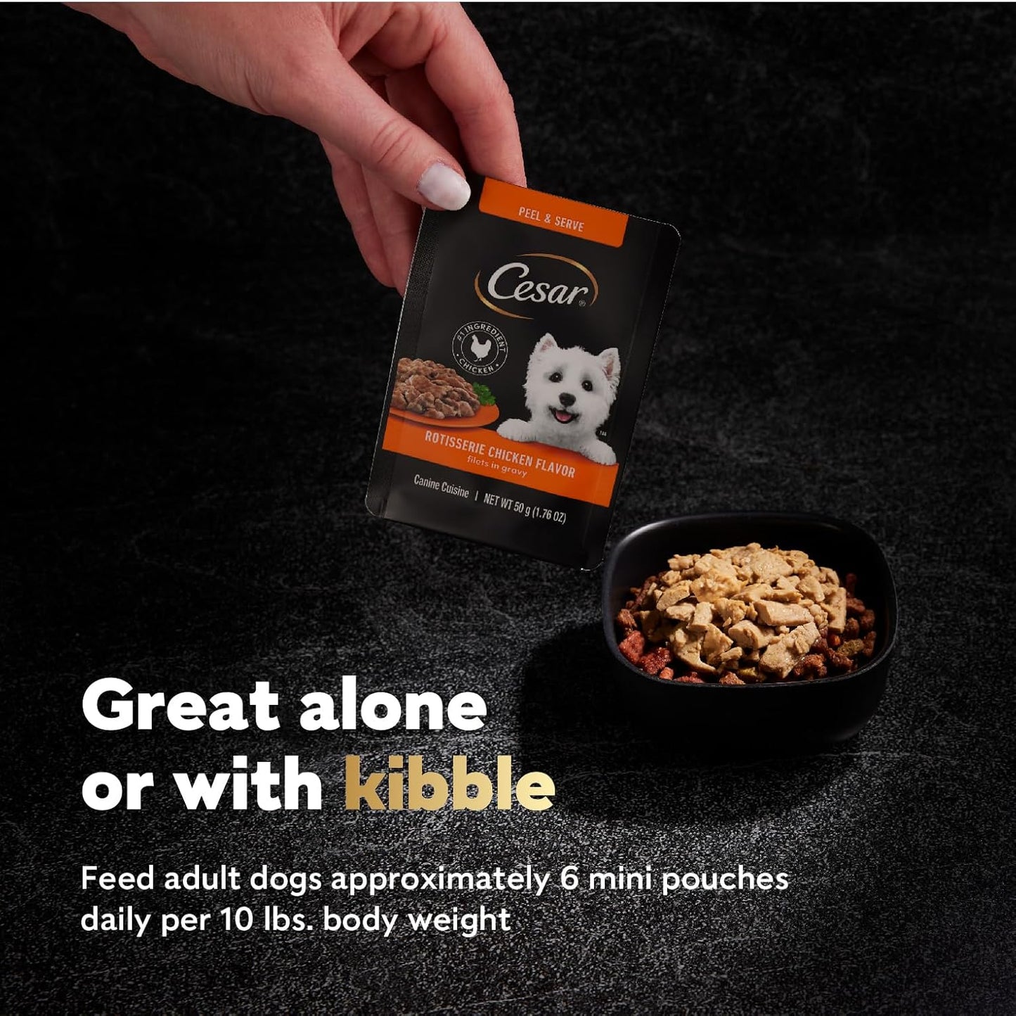 Filets in Gravy Wet Dog Food Filet Mignon Flavor, Rotisserie Chicken Flavor, and Wood-Grilled Chicken Flavor Variety Pack, 1.76 Oz. Mini-Pouches (40 Count, Pack of 1)