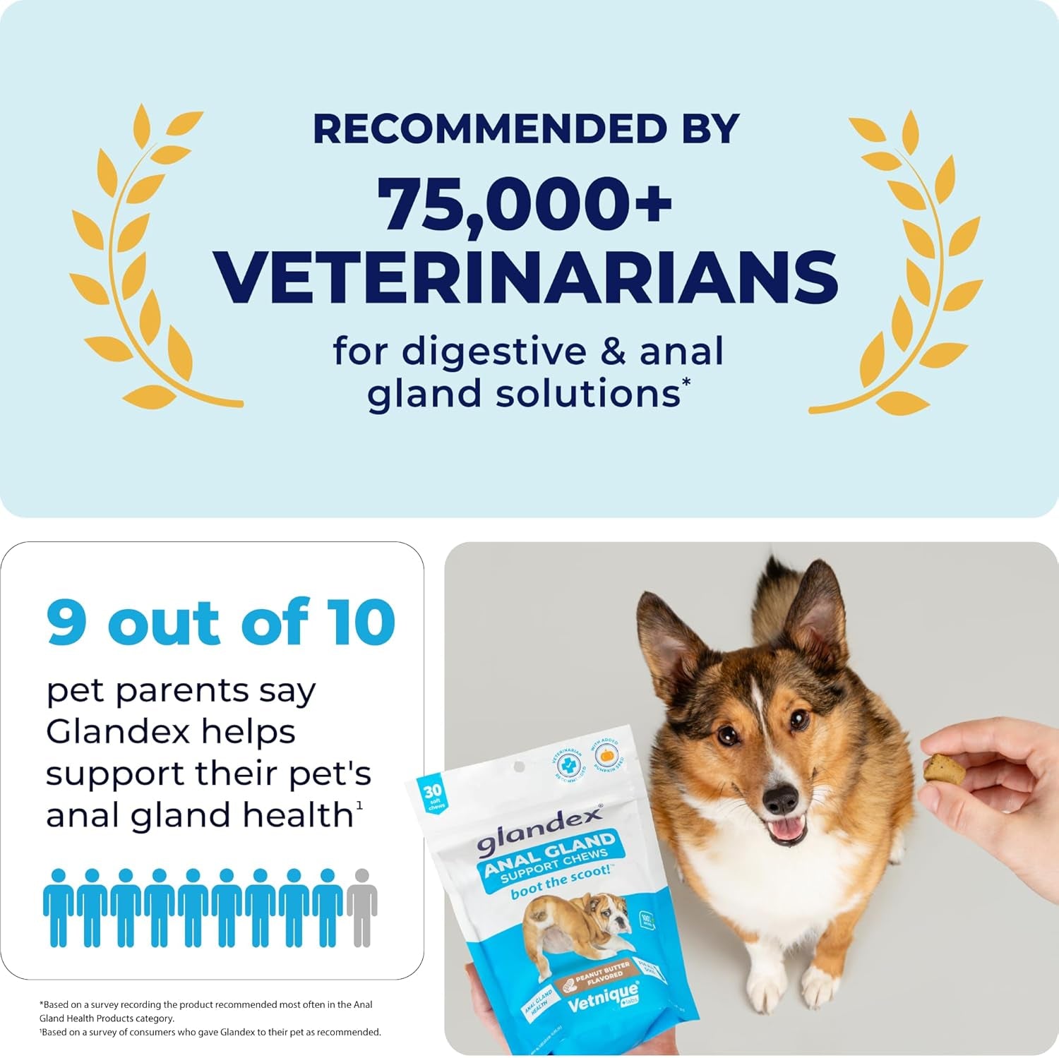 Glandex Anal Gland Soft Chew Treats with Pumpkin for Dogs Digestive Enzymes, Probiotics Fiber Supplement for Dogs Boot the Scoot (Peanut Butter Chews, 120 Count)