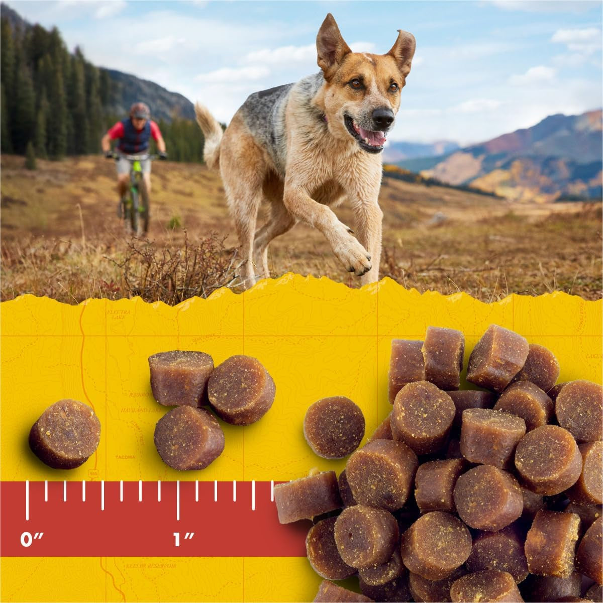Zuke’S Mini Naturals Dog Training Treats for Dogs, Pet Treats Made with Real Beef, 16 Oz. Resealable Pouch - 16 Oz. Bag