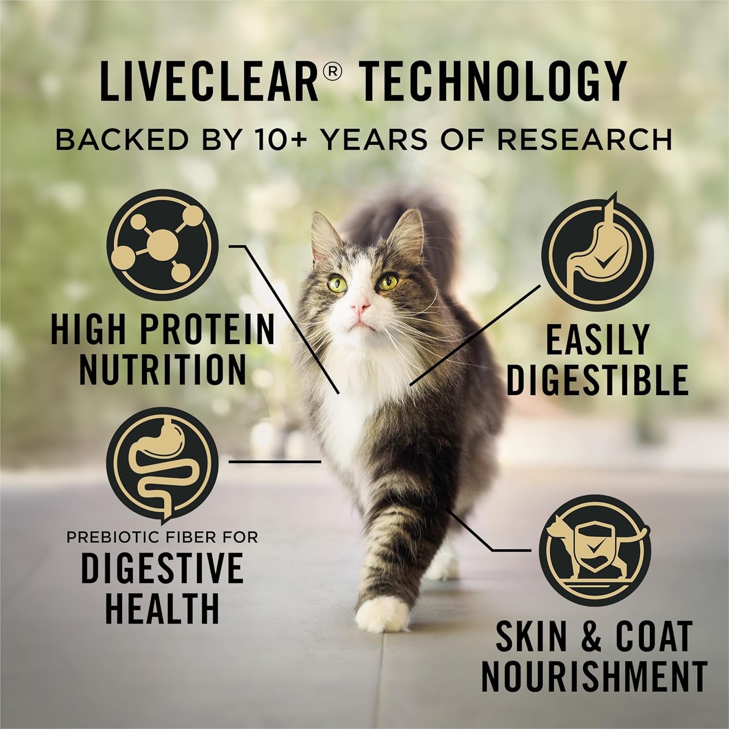 Allergen Reducing, Sensitive Skin & Stomach, High Protein Cat Food, LIVECLEAR Turkey and Oatmeal Formula - 3.2 Lb. Bag