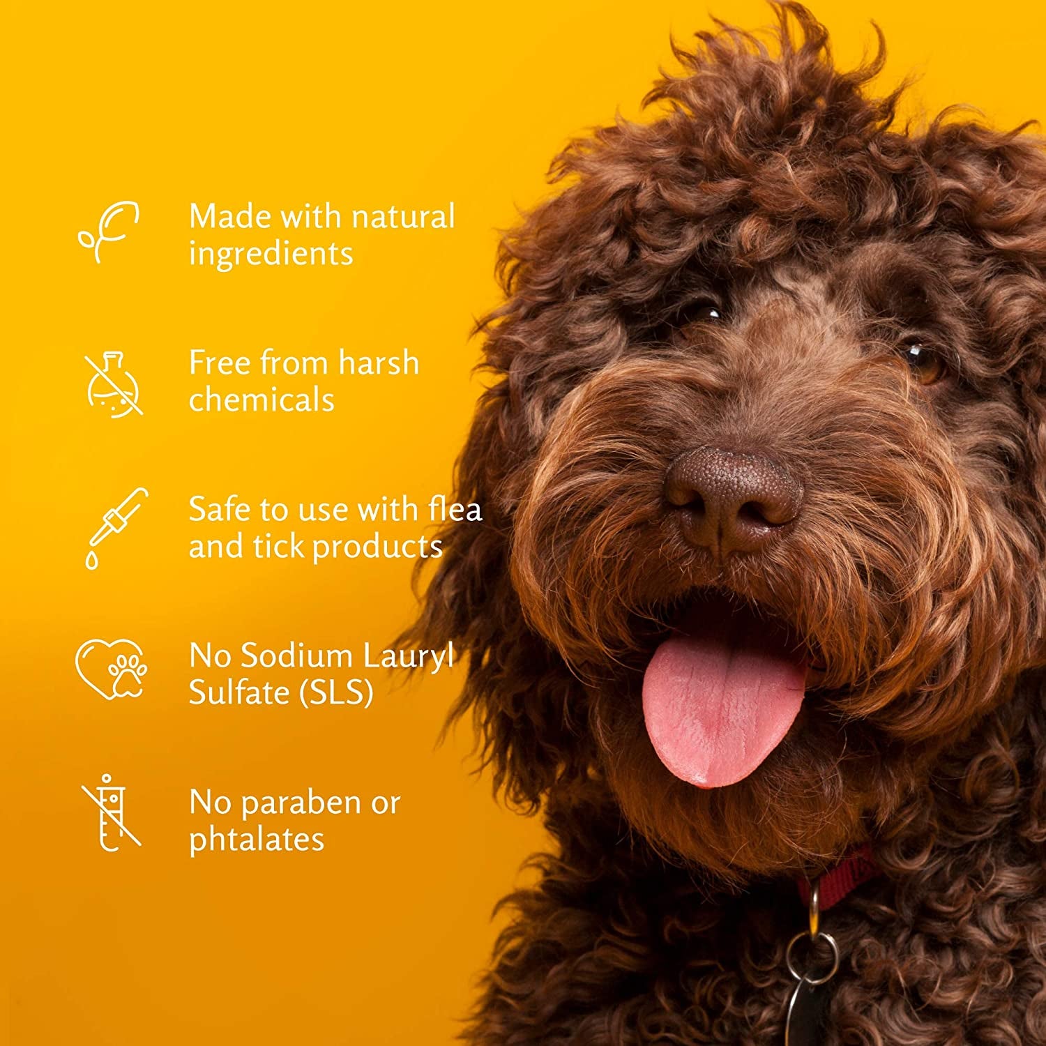 for Pets Tearless Puppy Shampoo | Gentle & Effective Tearless Shampoo for Puppies & All Dogs | Coconut Water Scent Your Dog Will Love, 20 Ounces - 1 Pack Puppy or Dog Shampoo