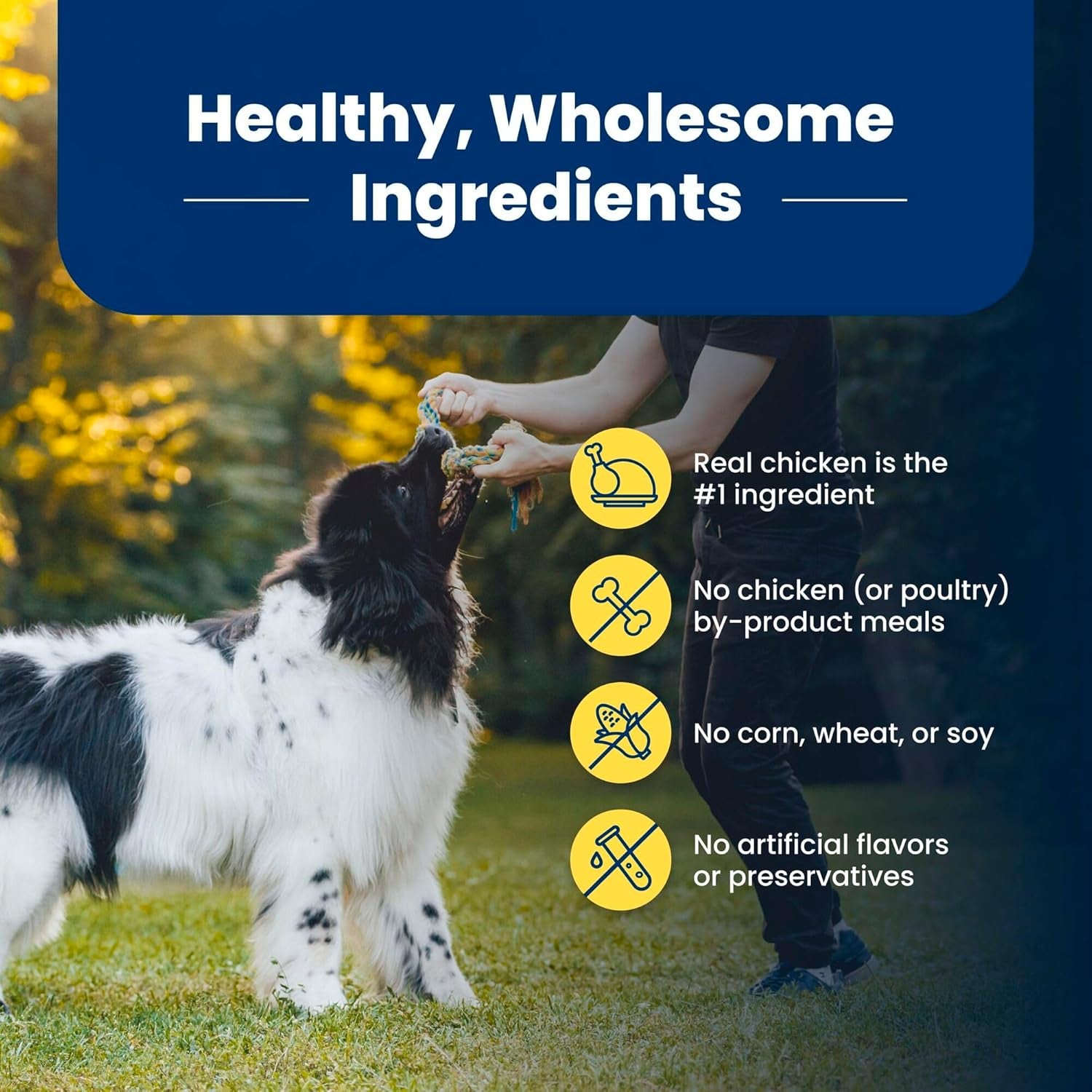 Life Protection Formula Healthy Weight Adult Dry Dog Food, Supports an Ideal Weight, Made with Natural Ingredients, Chicken & Brown Rice Recipe, 34-Lb. Bag