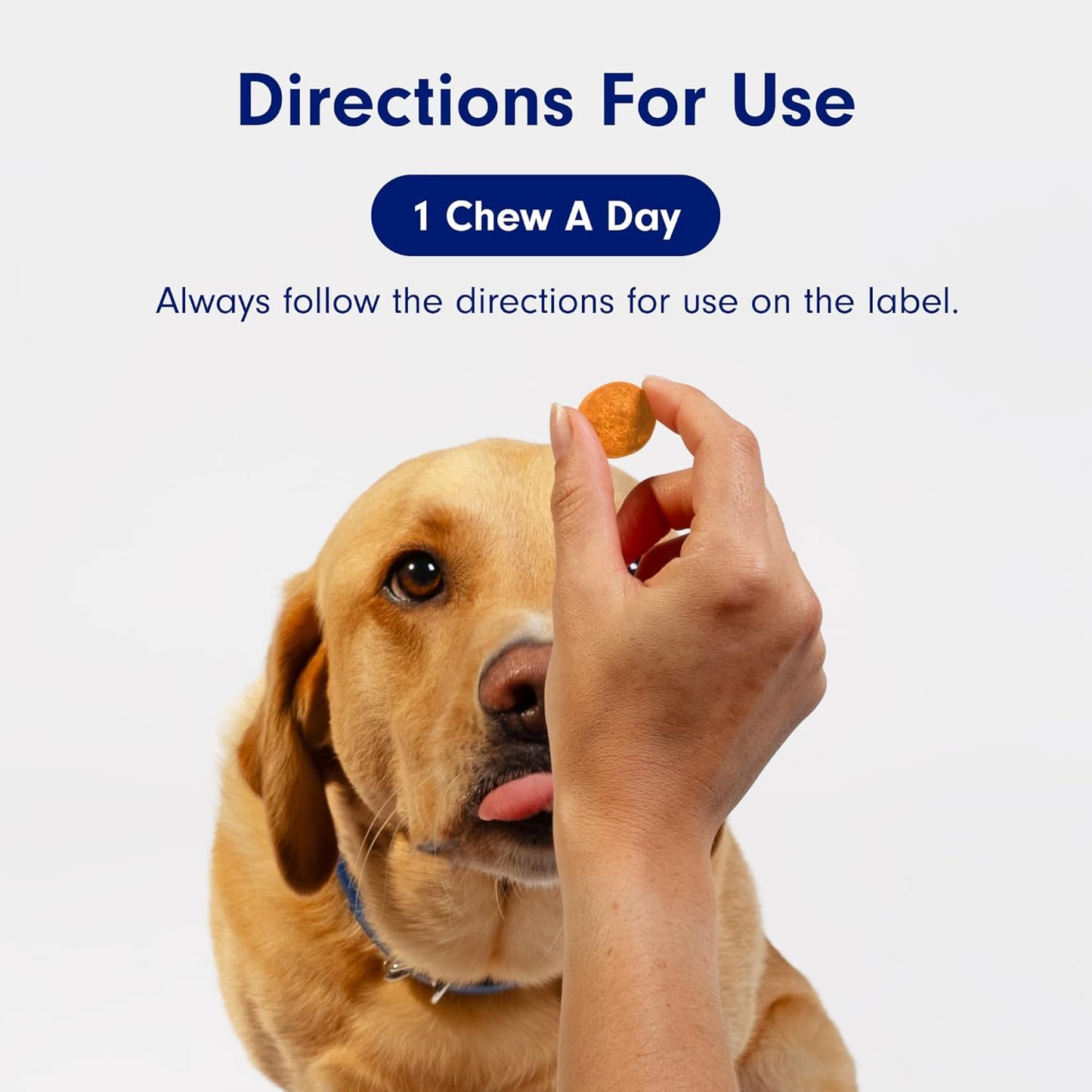 Allergy & Immune Probiotics for Dogs, Support Seasonal Allergies, Gut & Digestive Health - Pork Flavor - 30 Soft Chews