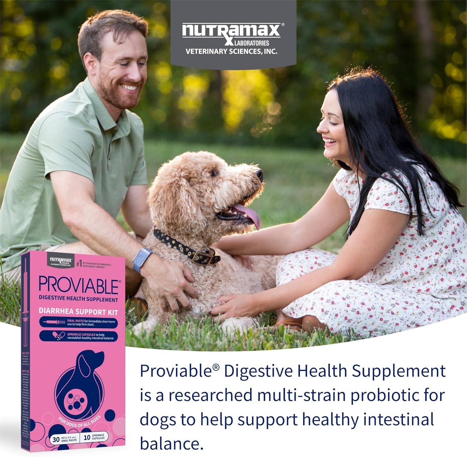 Nutramax Proviable Probiotics for Dogs, Diarrhea Support Kit, Digestive Health Supplement with Multiple Strains of Bacteria, plus Prebiotics, Kaolin and Pectin, 30 Ml Paste and 10 Capsules