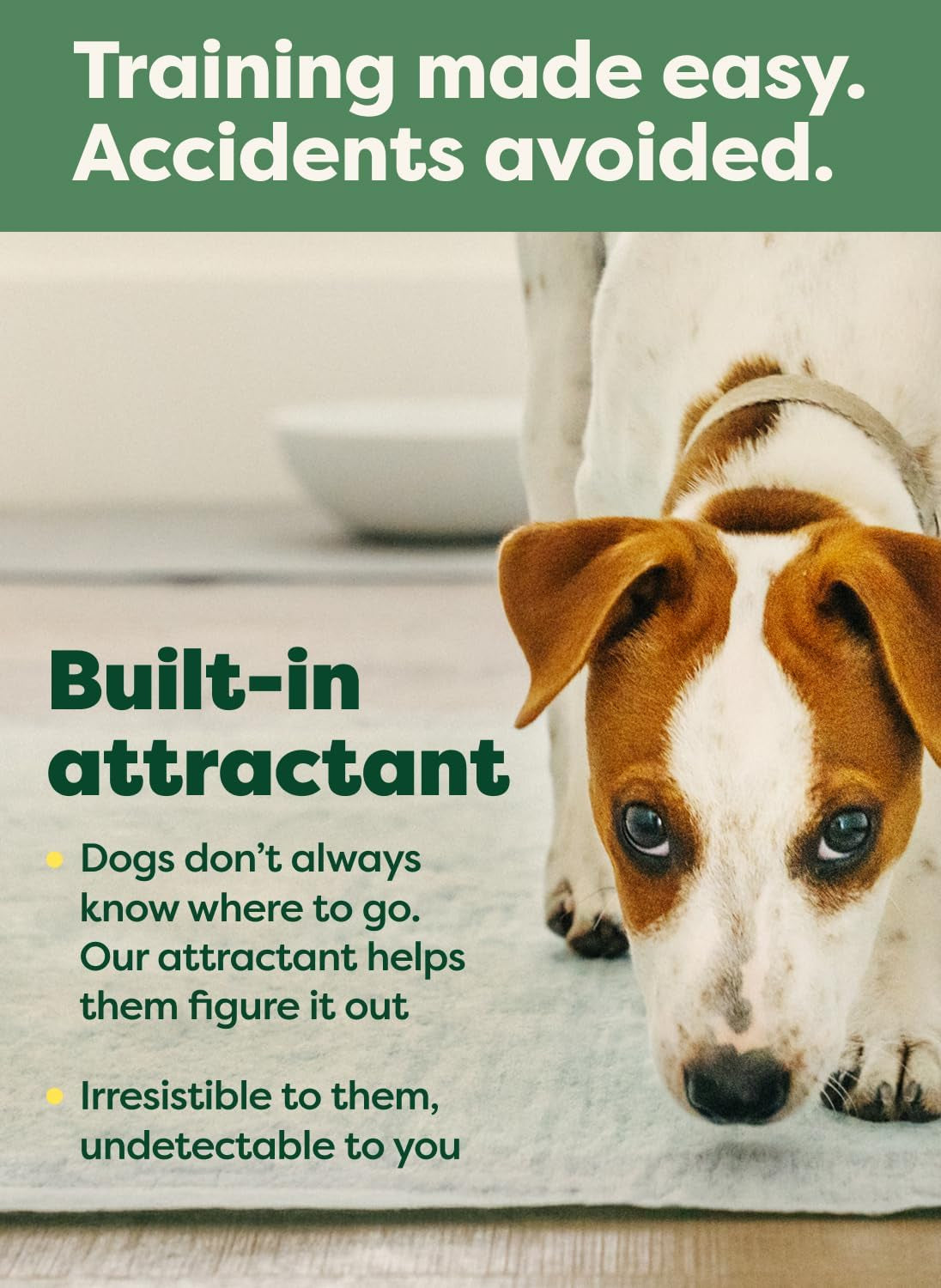 Max Absorbency Puppy Pee Pads for Dogs Absorbs 2X Faster & 2X More, Leak-Proof, Odor Control Potty Training, Unscented, Large, 22” X 23”, 40 Count