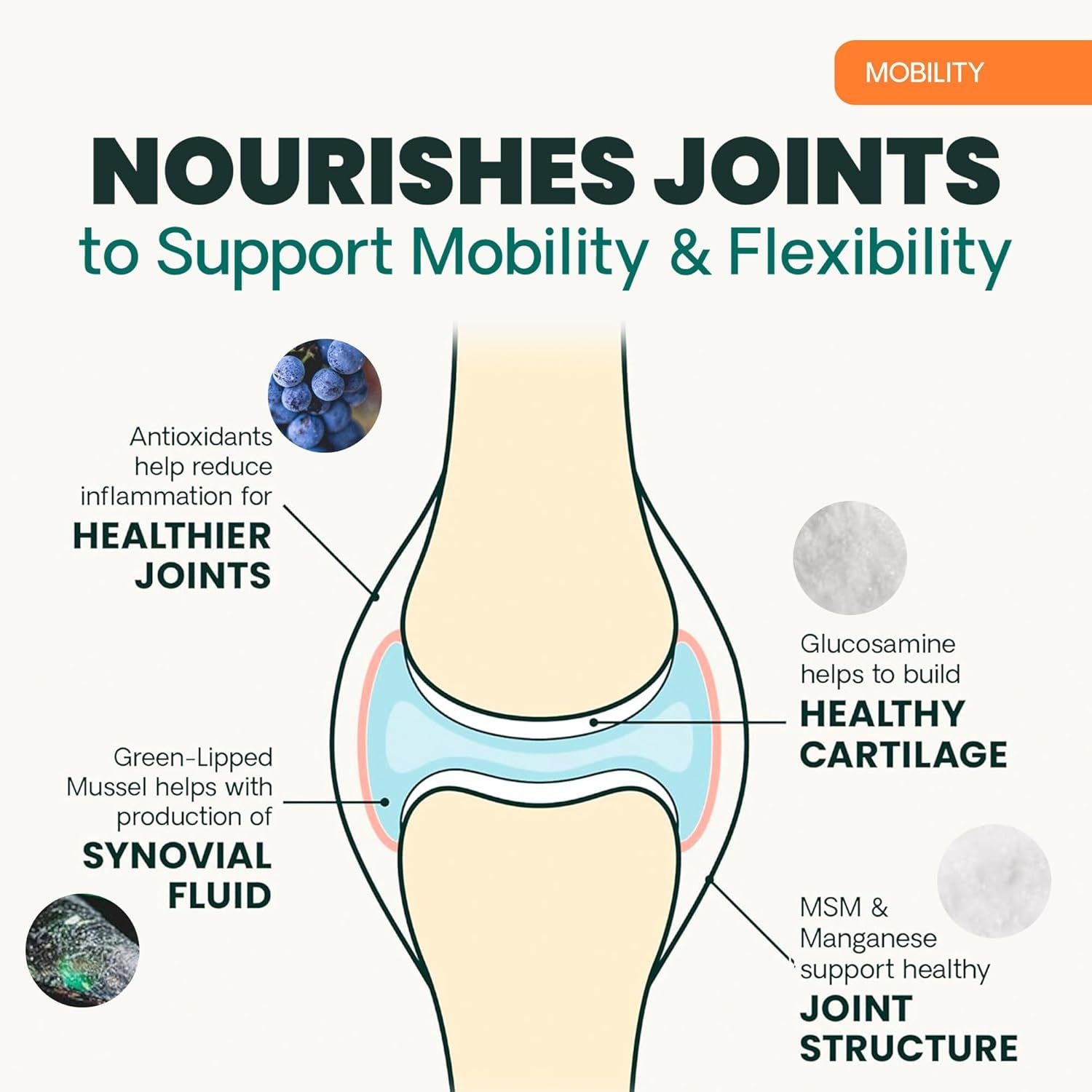 Extra Strength Healthy Hip & Joint Chewable Tablets, Glycoflex Glucosamine and Green-Lipped Mussel Joint Support Supplement for Dogs, Soothe Joint Discomfort, Chicken, 120 Count