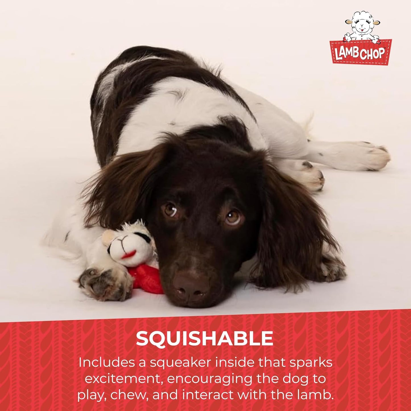 Lamb Chop Dog Plush Toy - Squeaky Toy for All Dogs - Extra Soft Plush - Stuffed Animal Dog Toy for Cuddling & Playing - Cute Pet Toy (6", Cream)