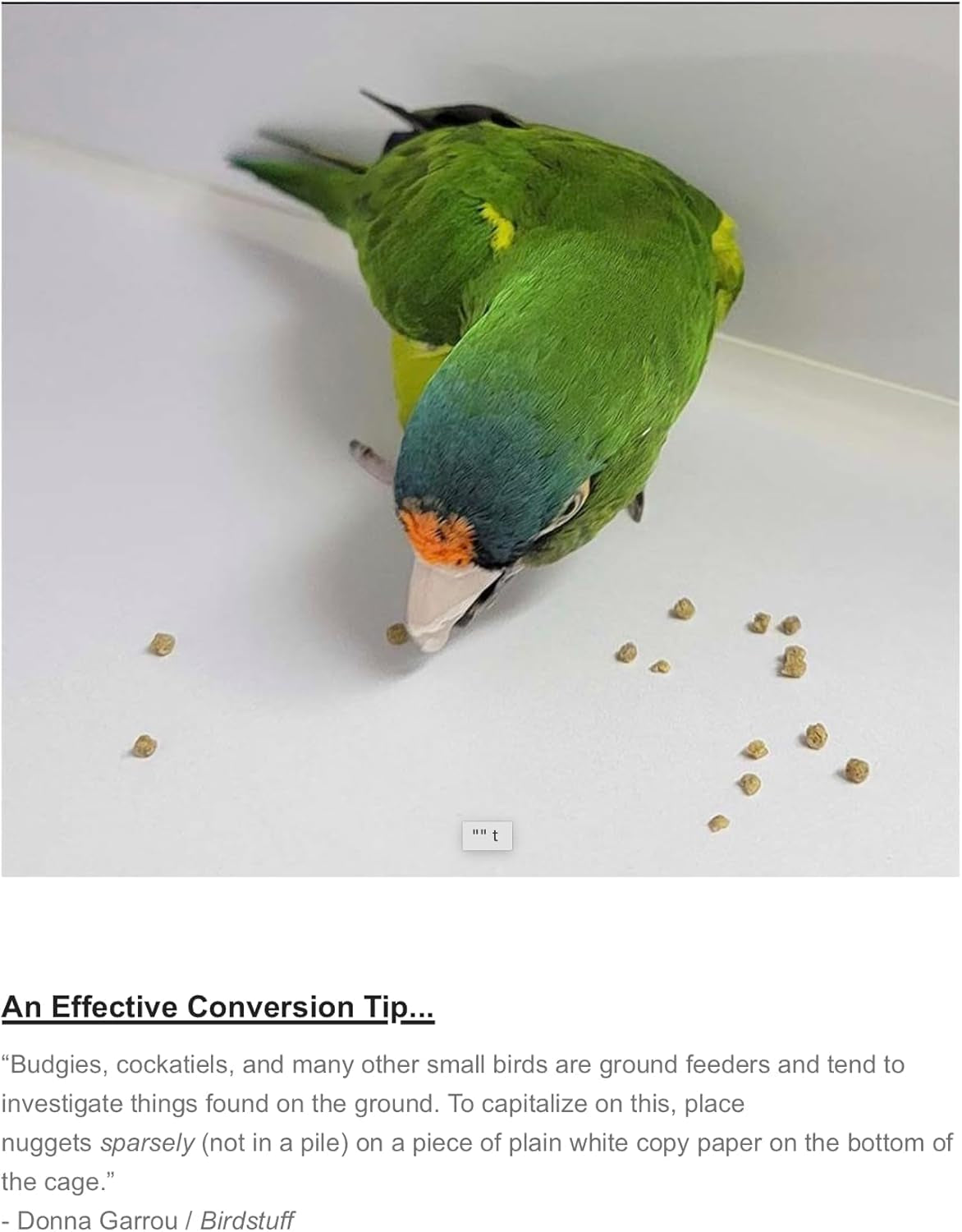 High Potency Fine Certified Organic Non GMO Formula Bird Food 1Lb