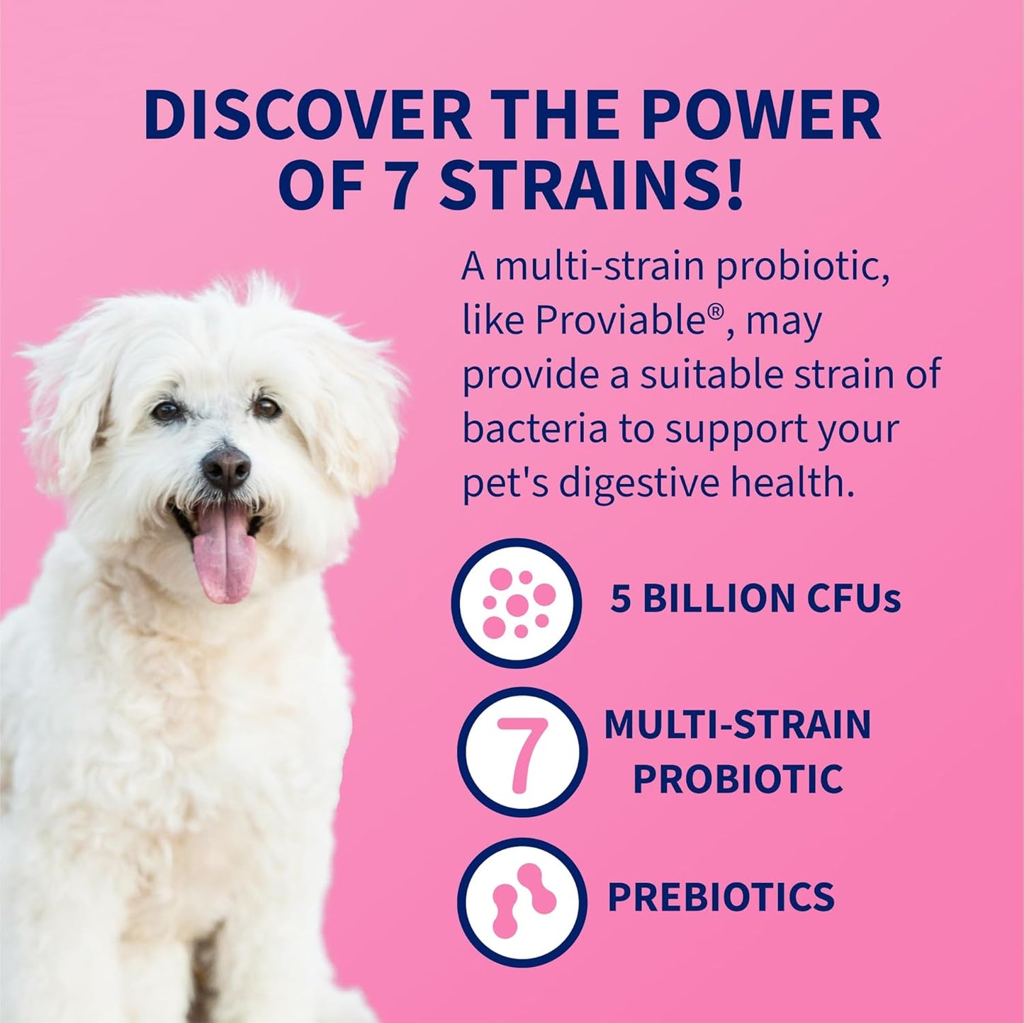 Nutramax Proviable Probiotics for Dogs, Daily Digestive Health Supplement with Multiple Strains of Bacteria, Dog Probiotics plus Prebiotics, 60 Chewable Tablets