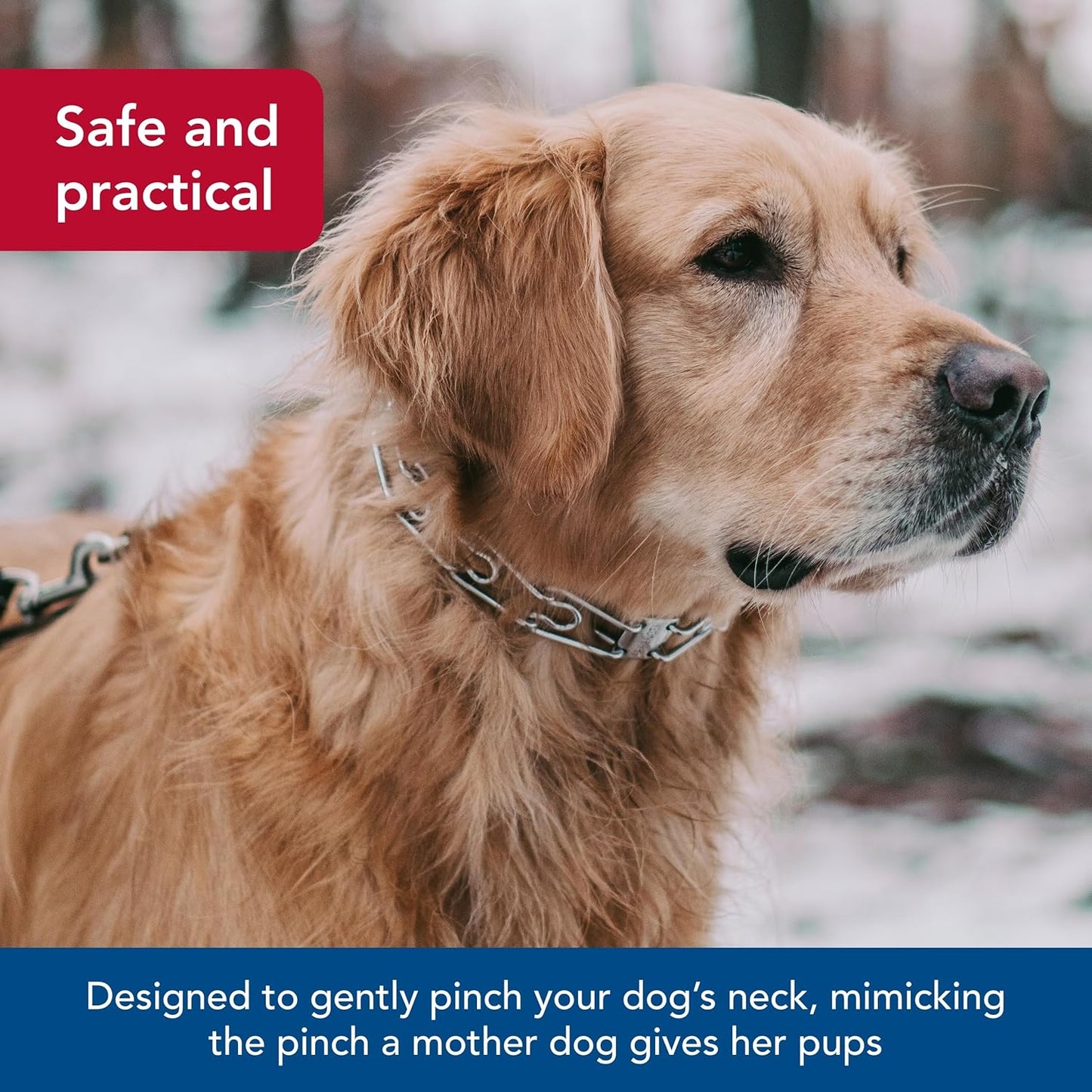 Ultra-Plus Prong Dog Training Collar, 3.0 Mm X 18" Neck Size, 3.0 Mm X 22" Chain Length, Steel Chrome Plated Dog Prong Collar, Pinch Collar for Dogs, Dog Correction Collar