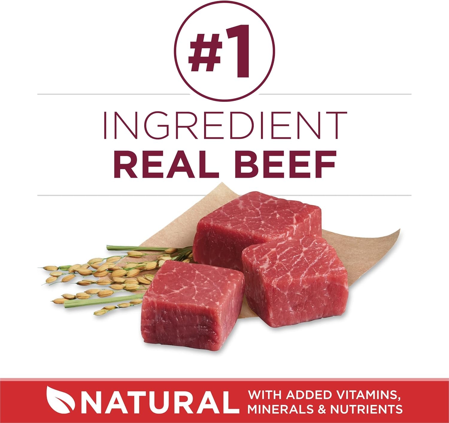 Small Bites Beef and Rice Formula Small High Protein Dry Dog Food Natural with Added Vitamins, Minerals and Nutrients - 16.5 Lb. Bag