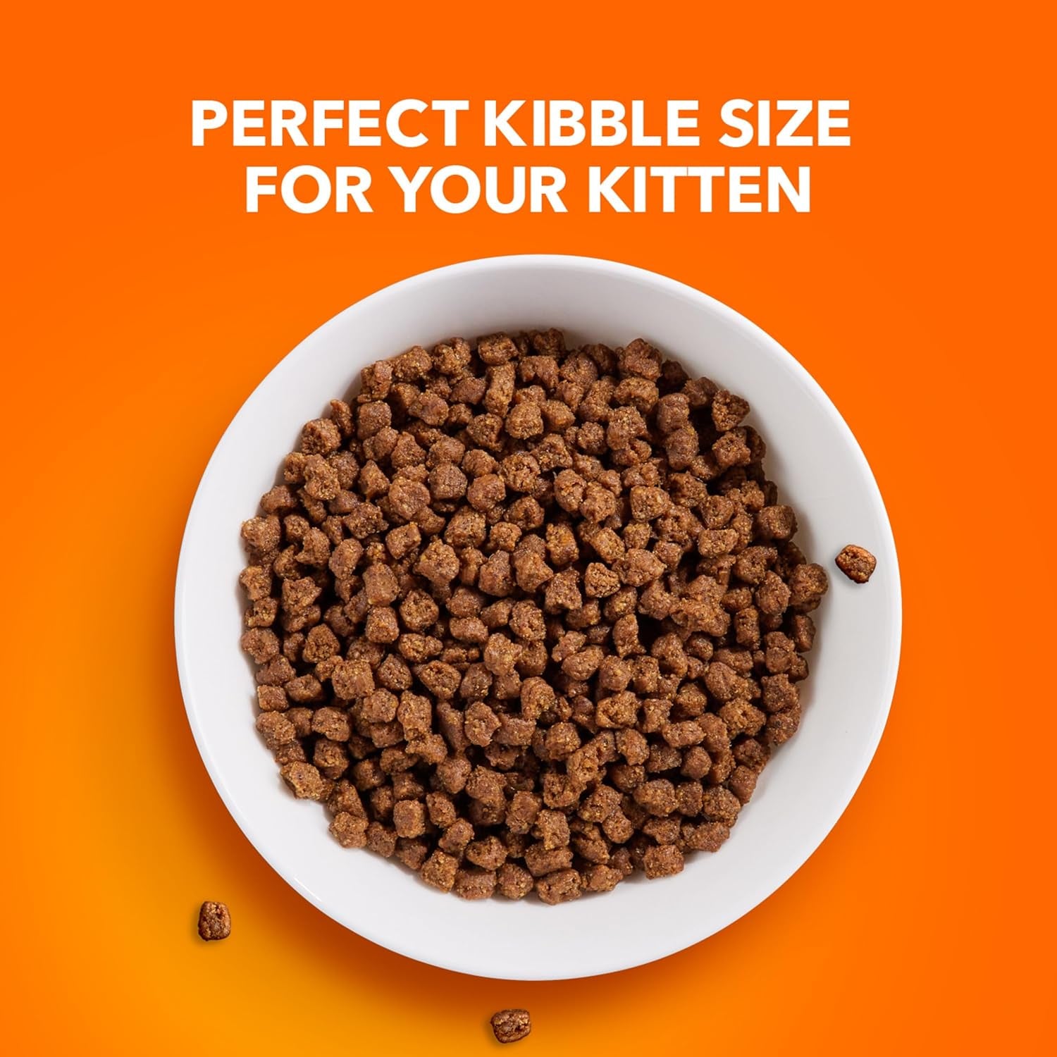 Proactive Health Healthy Kitten Dry Cat Food with Chicken, 7 Lb. Bag