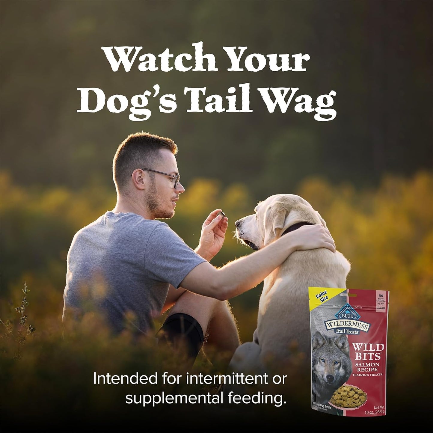 Wilderness Trail Treats Wild Bits Training Treats for Dogs, Grain-Free Dog Treats, Salmon Recipe, 10-Oz. Bag