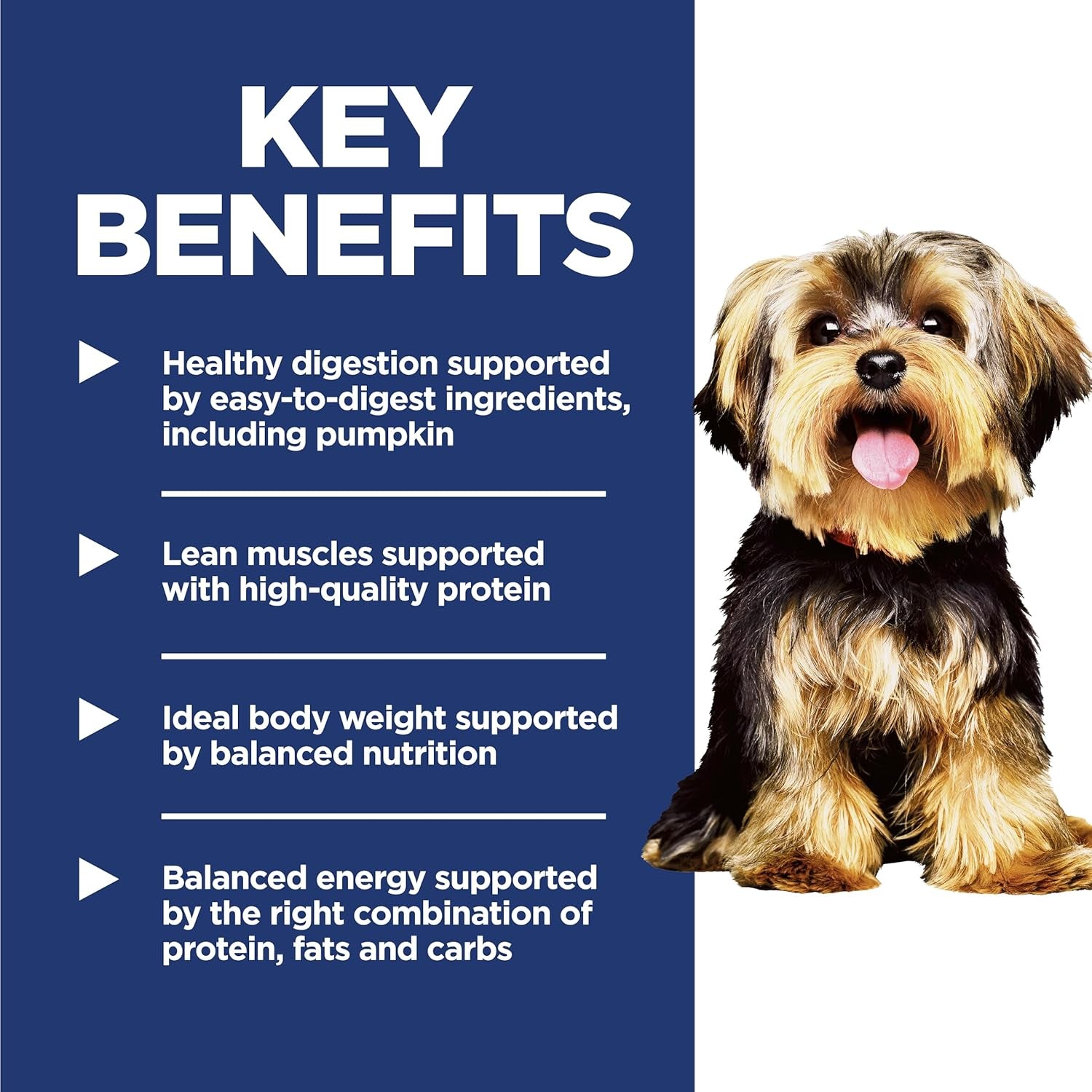 Small & Mini, Adult 1-6, Small & Mini Breeds Premium Nutrition, Dry Dog Food, Lamb & Brown Rice, 4.5 Lb Bag