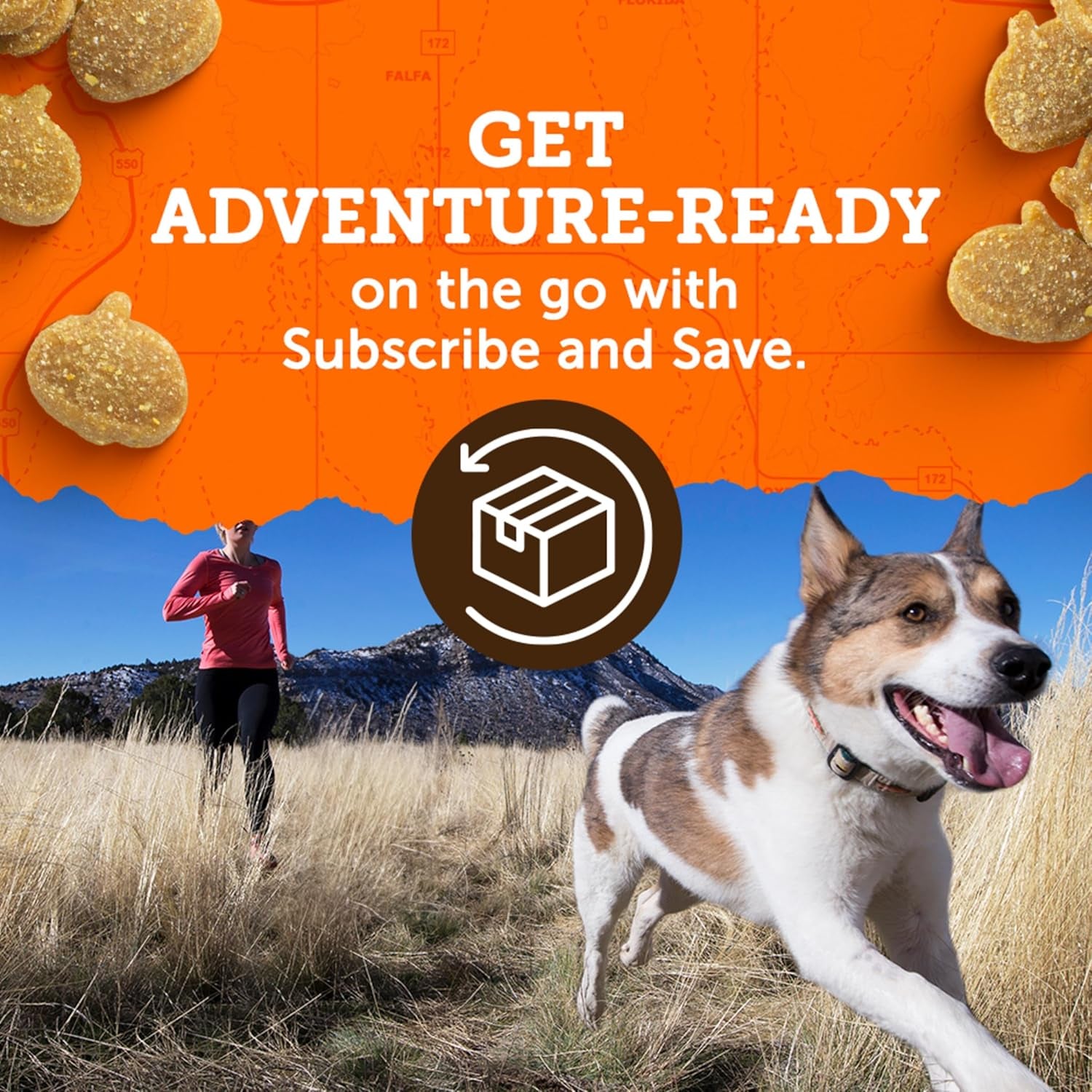 Zuke’S Mini Naturals Soft and Chewy Dog Treats for Training Pouch, Natural Treat Bites with Beef Recipe - 6 Oz. Bag