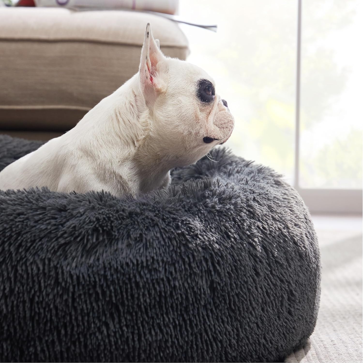 Calming Dog Bed for Medium Dogs - Donut Washable Medium Pet Bed, 30 Inches Anti-Slip round Fluffy Plush Faux Fur Cat Bed, Fits up to 45 Lbs Pets, Dark Grey